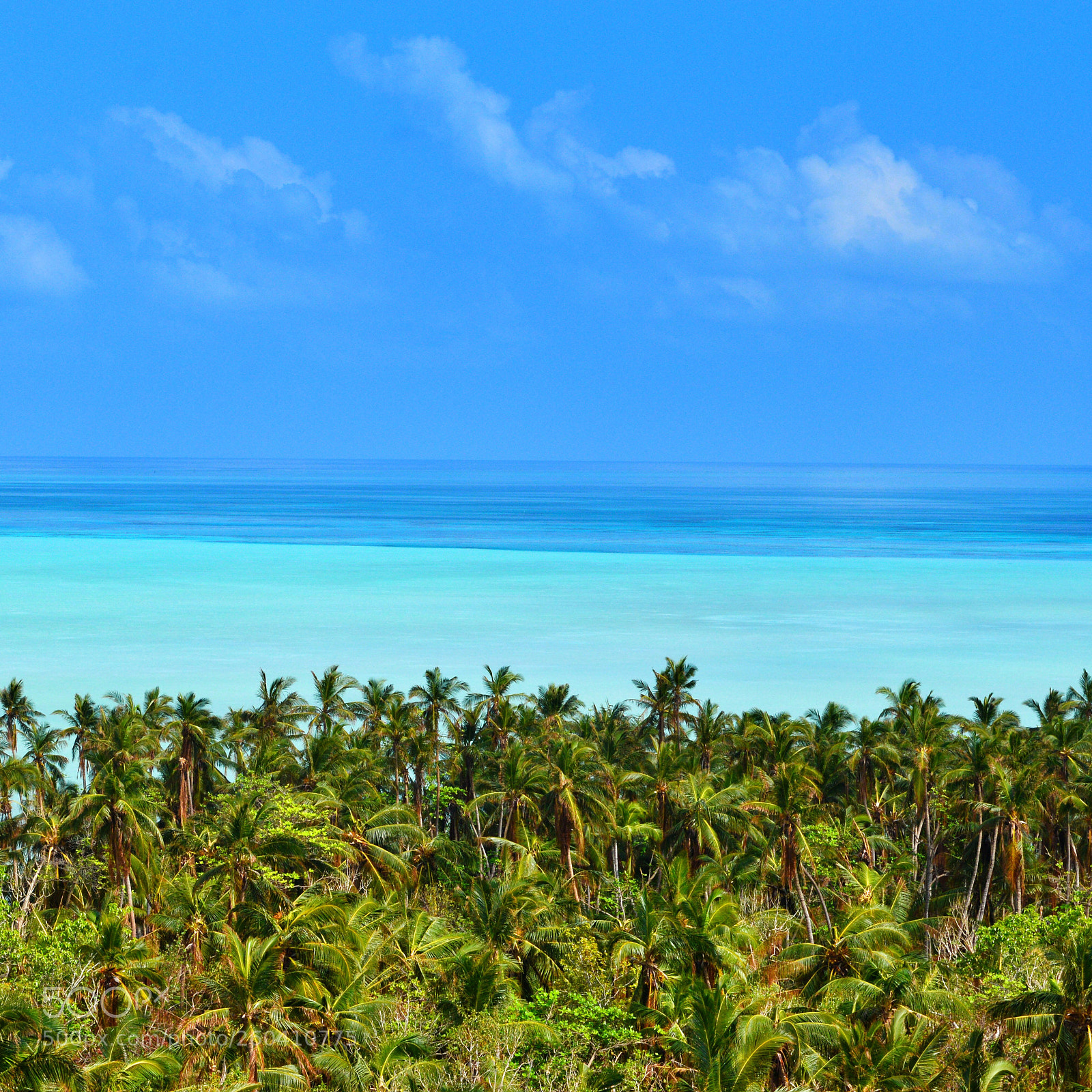 Nikon D3200 sample photo. Tropical photography