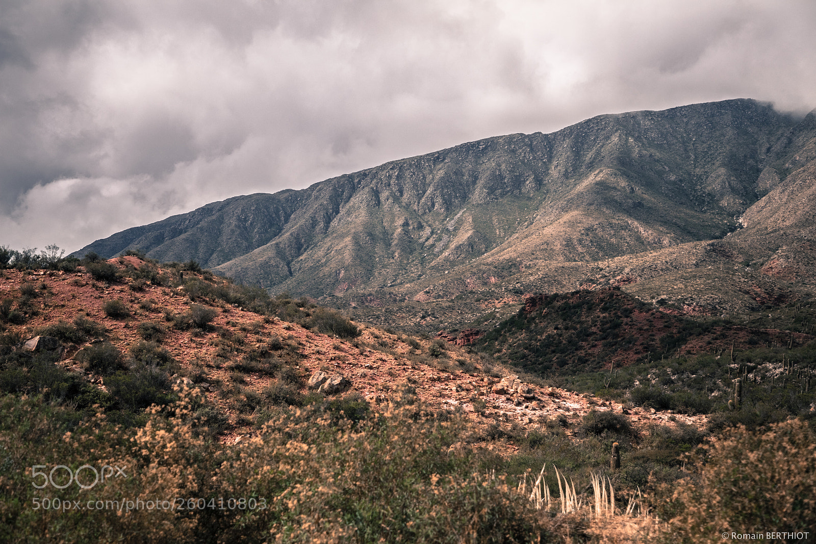 Canon EOS 5D Mark IV sample photo. Argentine photography