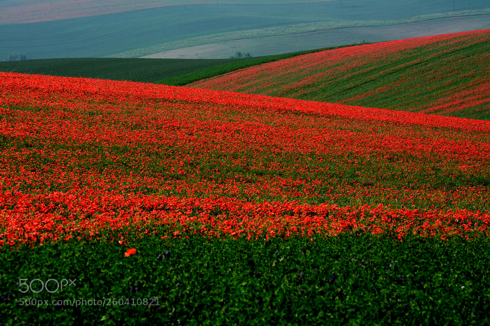 Nikon D7100 sample photo. In the red waves photography