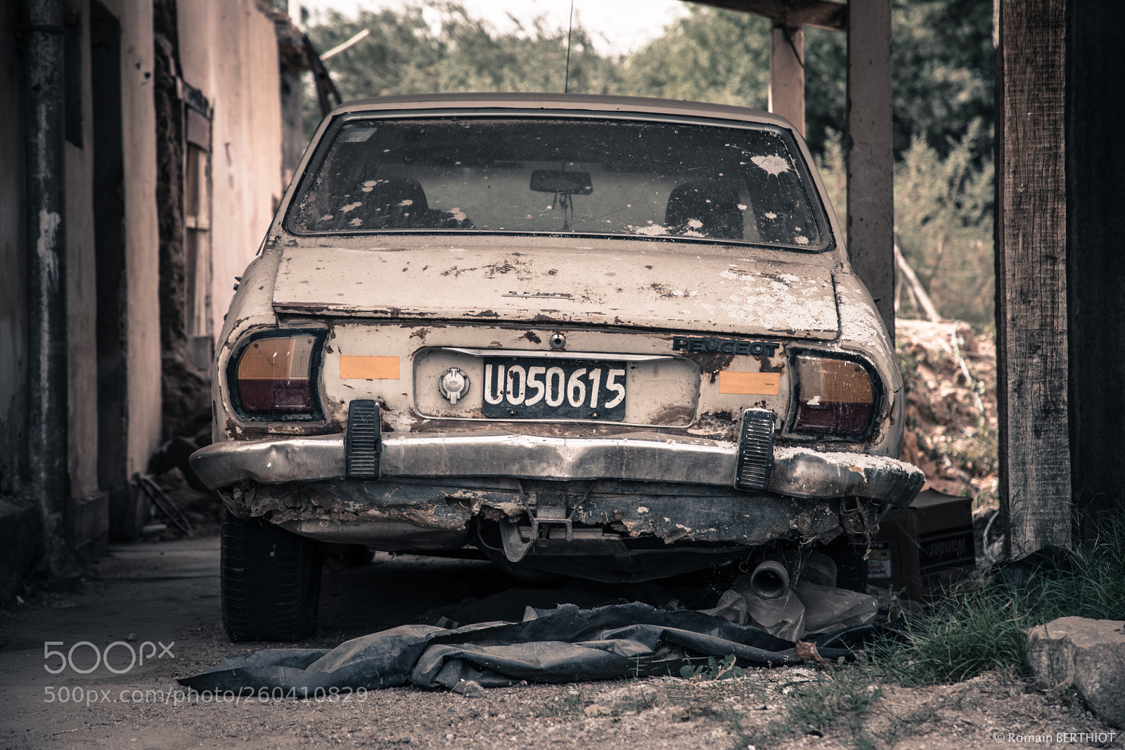 Canon EOS 5D Mark IV sample photo. Argentine photography