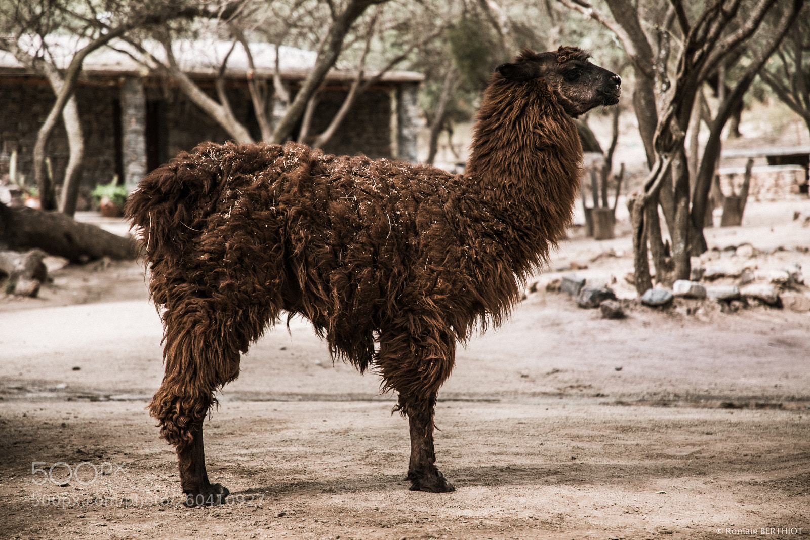 Canon EOS 5D Mark IV sample photo. Argentine photography