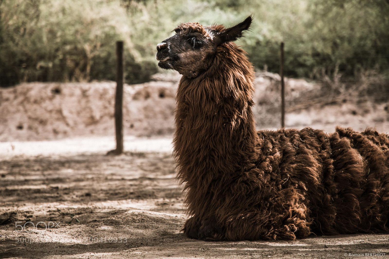 Canon EOS 5D Mark IV sample photo. Argentine photography