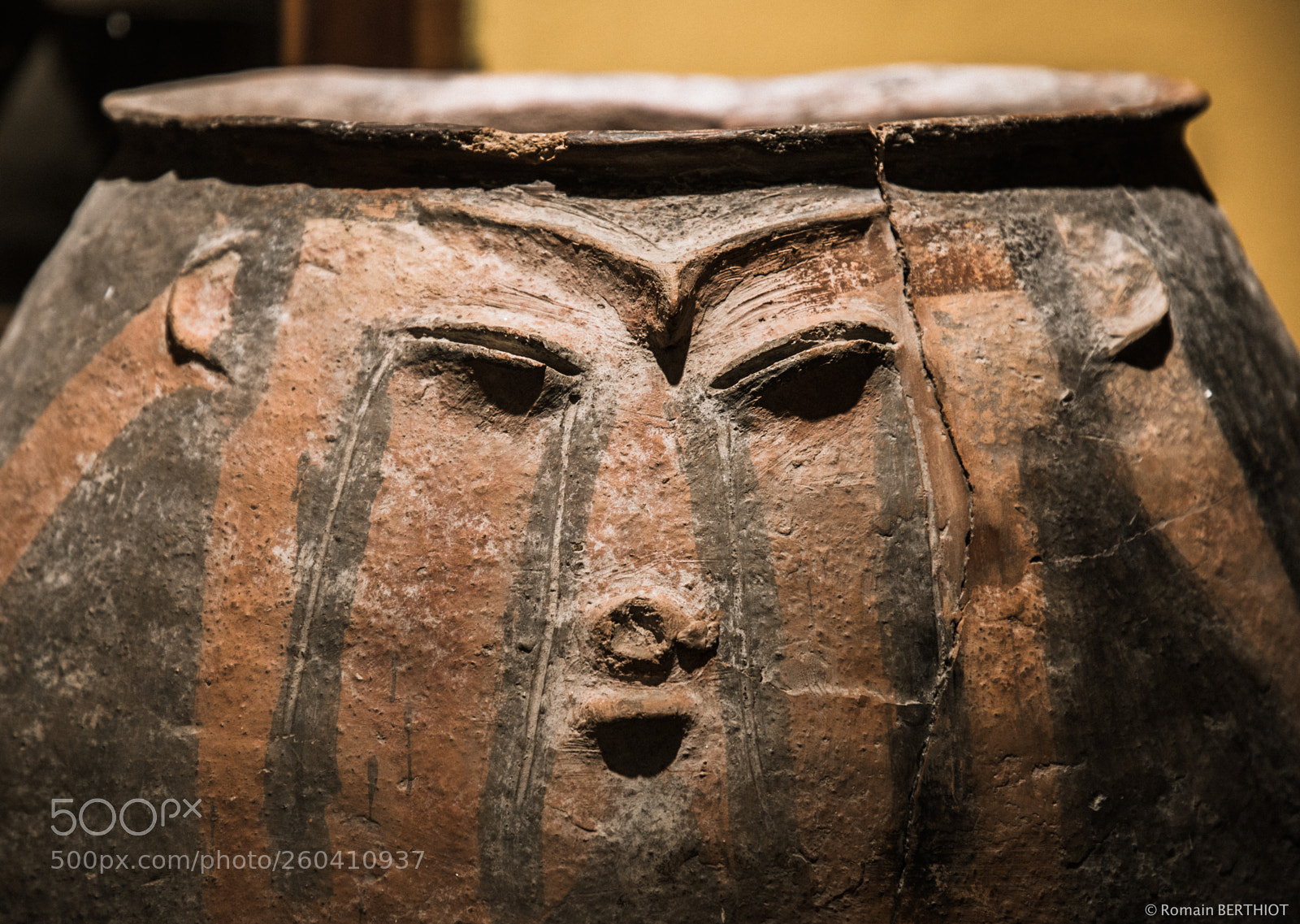 Canon EOS 5D Mark IV sample photo. Argentine photography