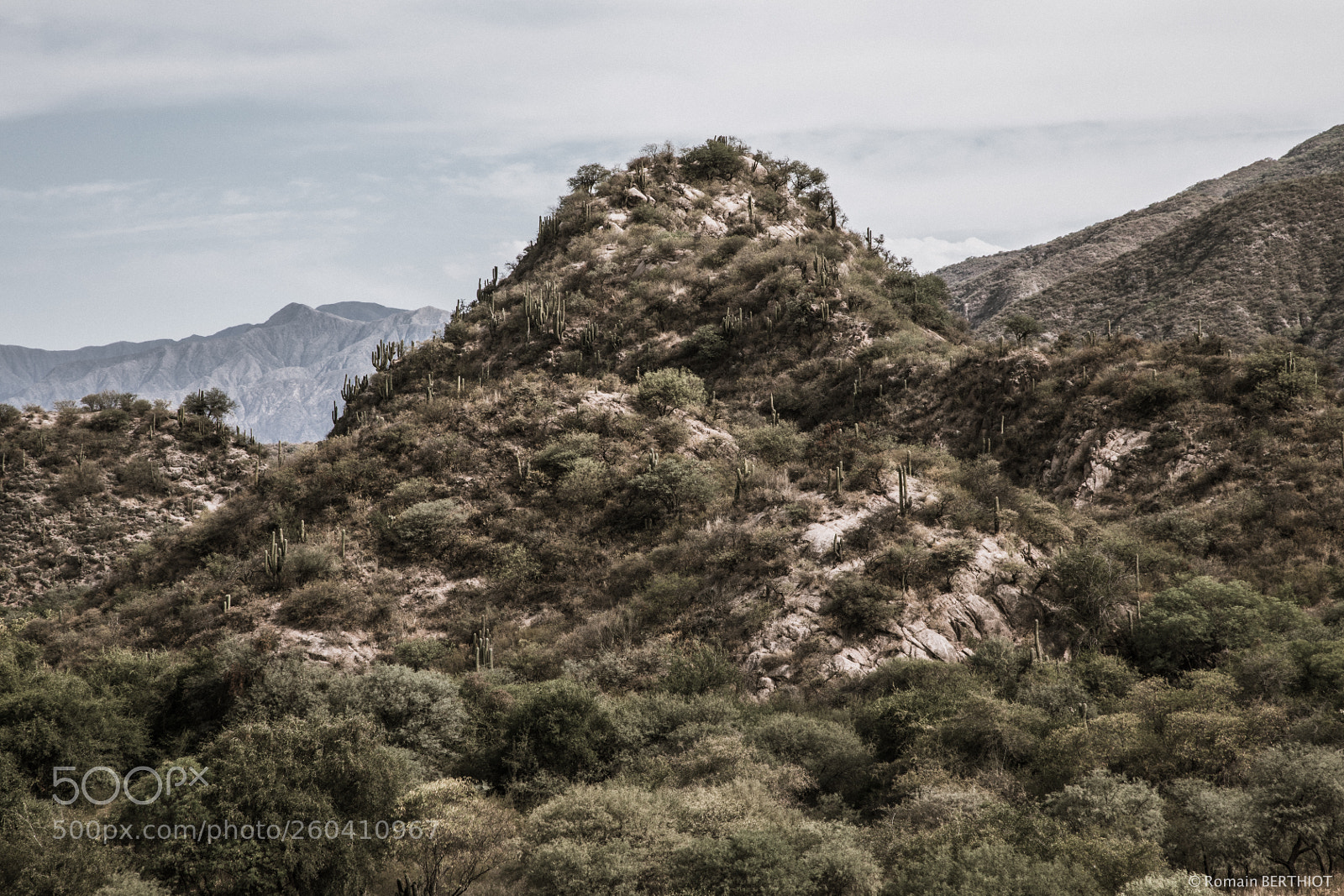 Canon EOS 5D Mark IV sample photo. Argentine photography