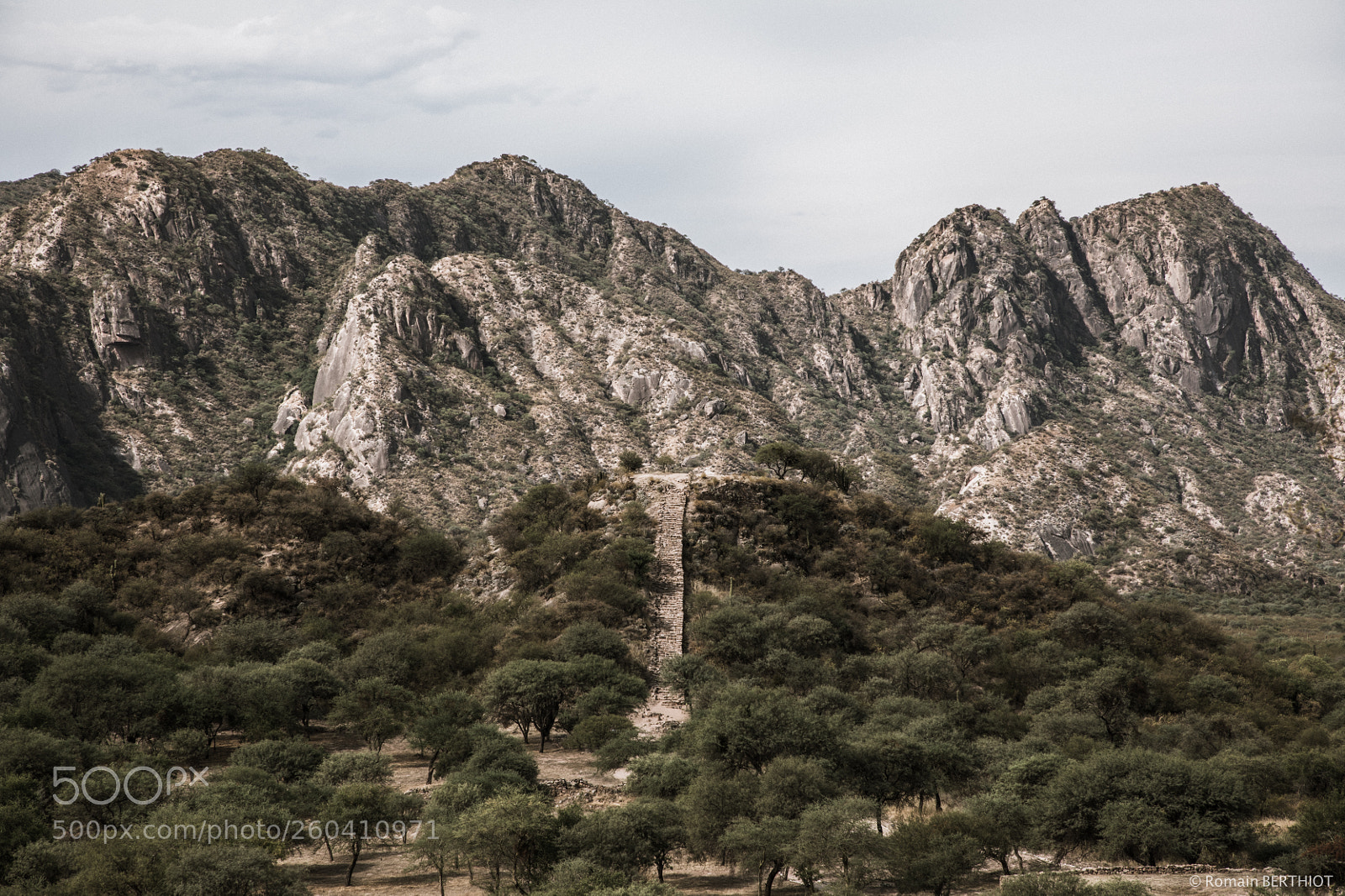 Canon EOS 5D Mark IV sample photo. Argentine photography