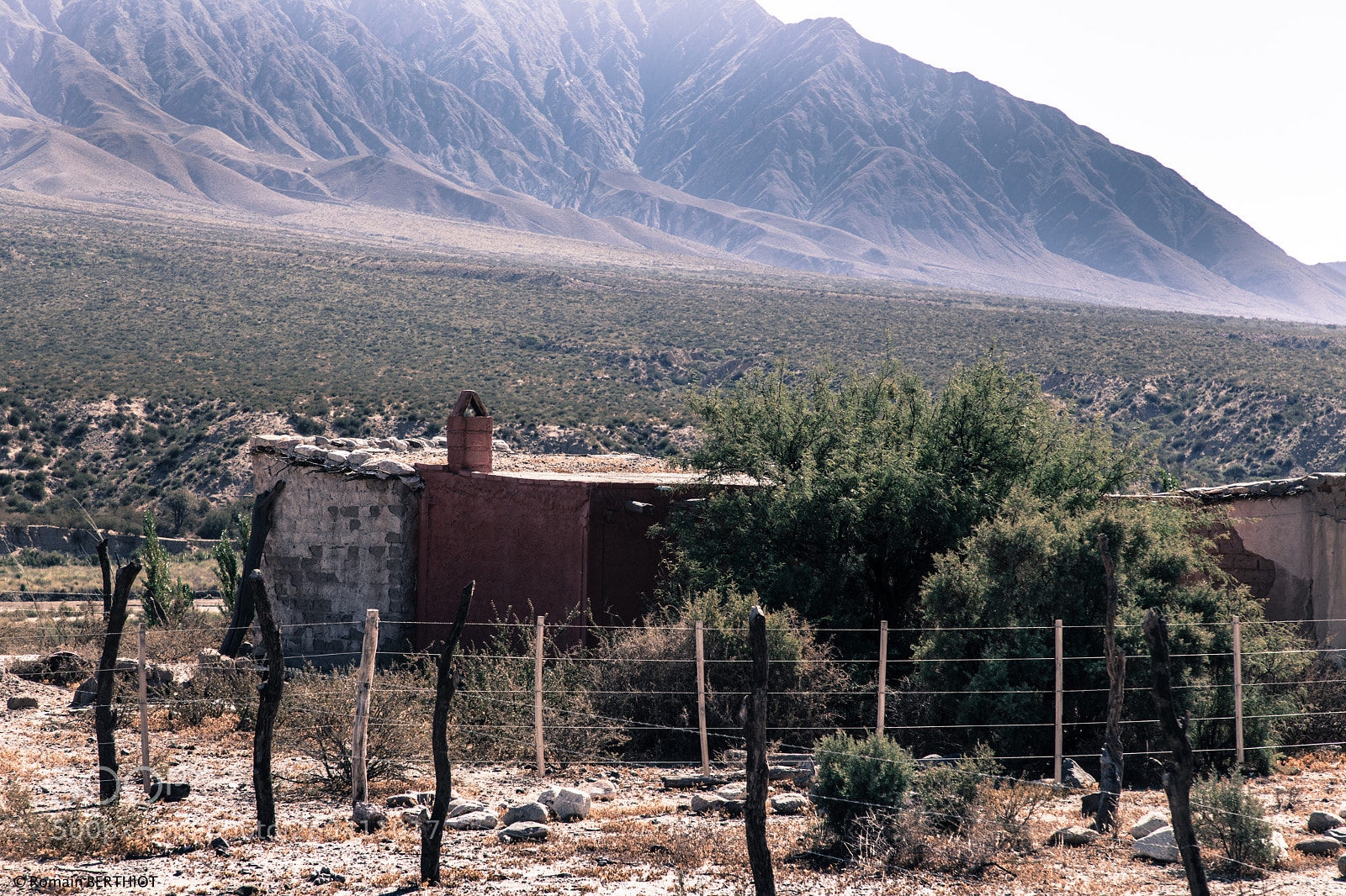 Canon EOS 5D Mark IV sample photo. Argentine photography