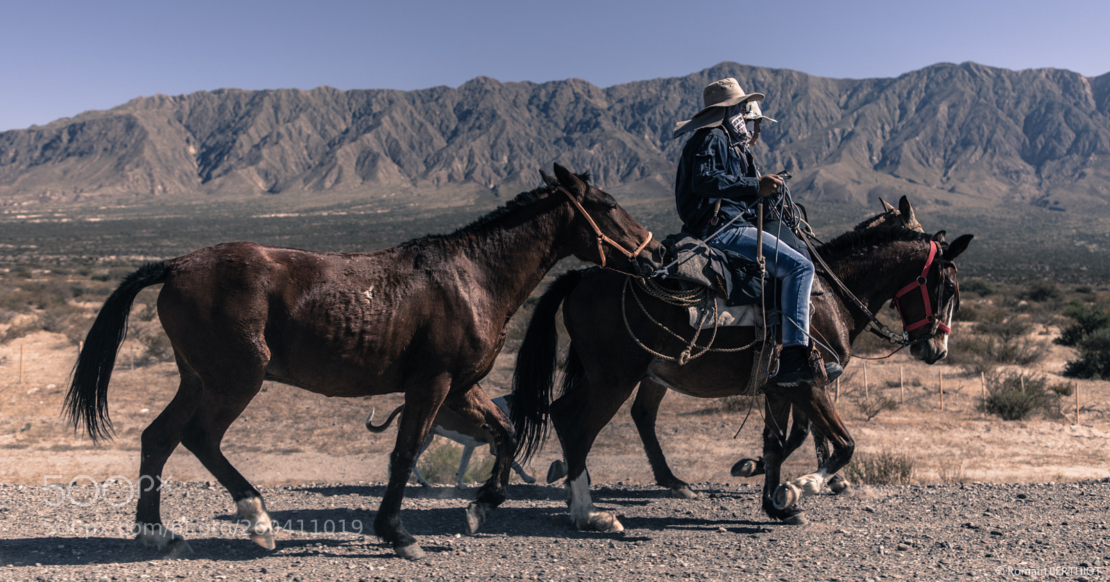 Canon EOS 5D Mark IV sample photo. Argentine photography