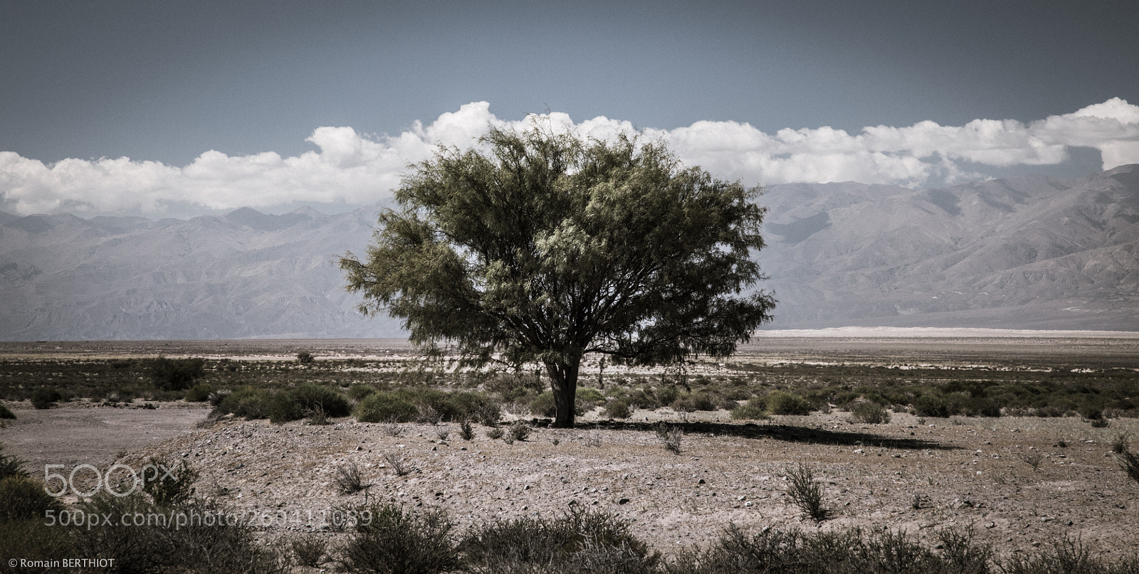 Canon EOS 5D Mark IV sample photo. Argentine photography