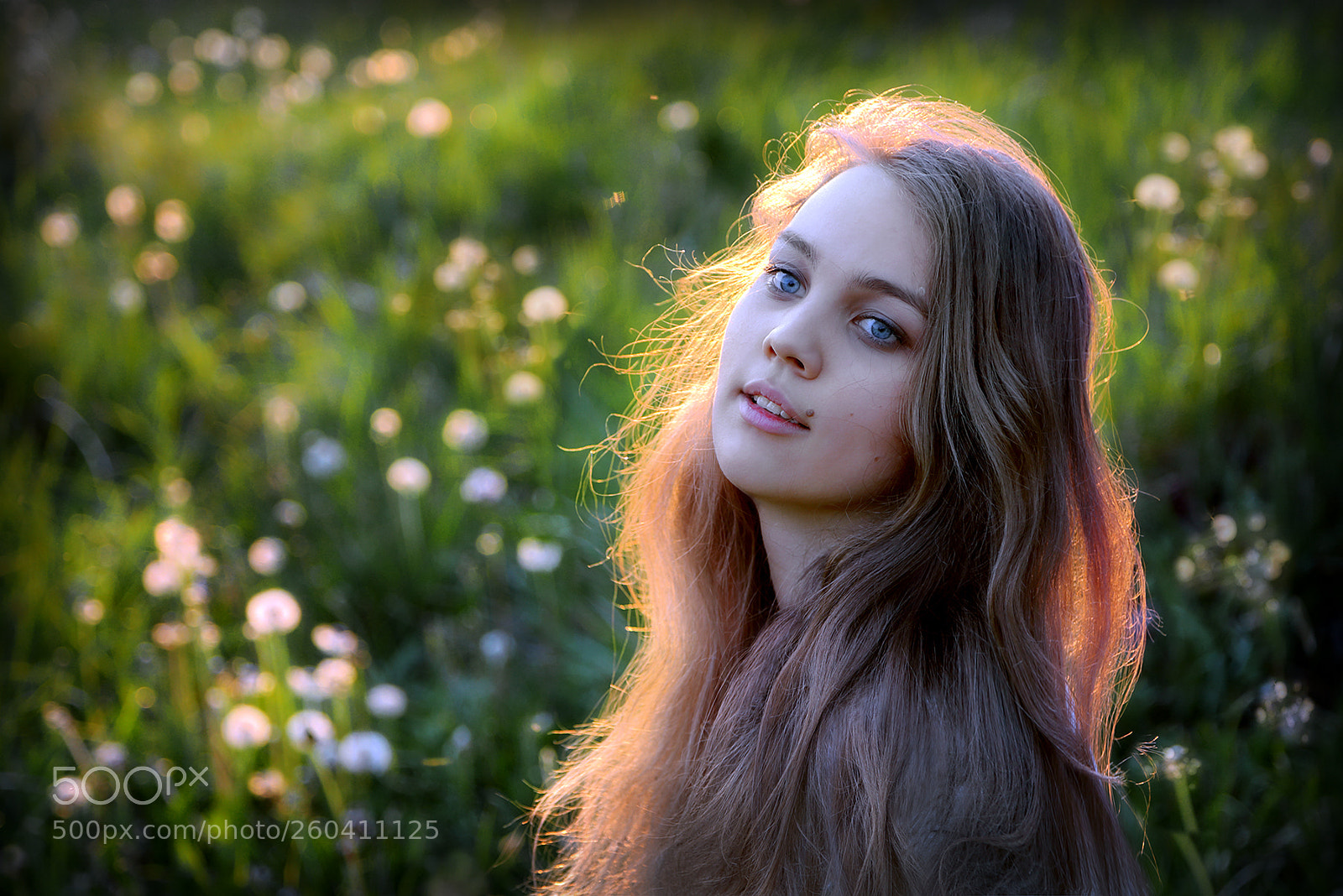 Canon EOS 6D sample photo. На закате майского дня...2. photography