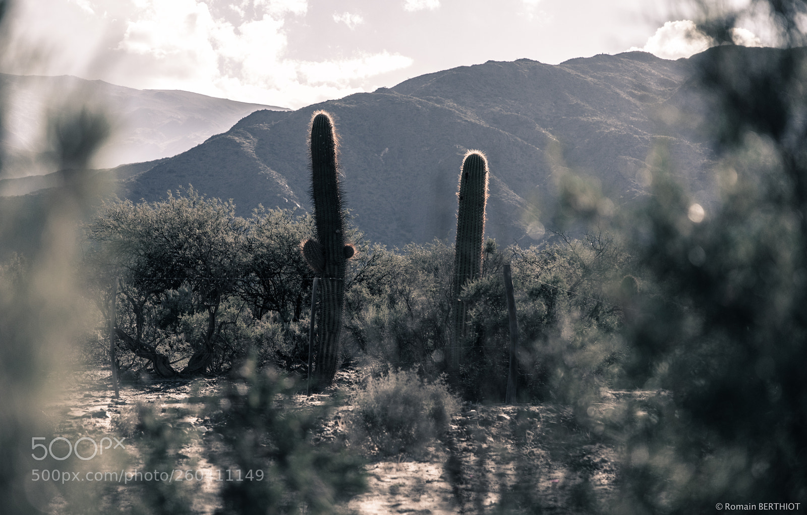 Canon EOS 5D Mark IV sample photo. Argentine photography
