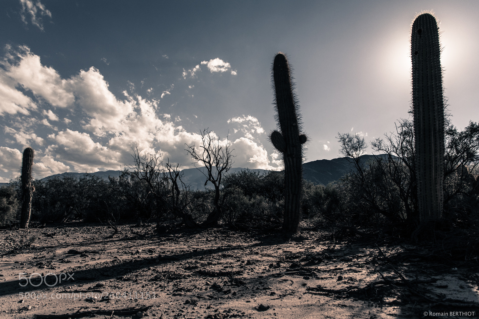 Canon EOS 5D Mark IV sample photo. Argentine photography
