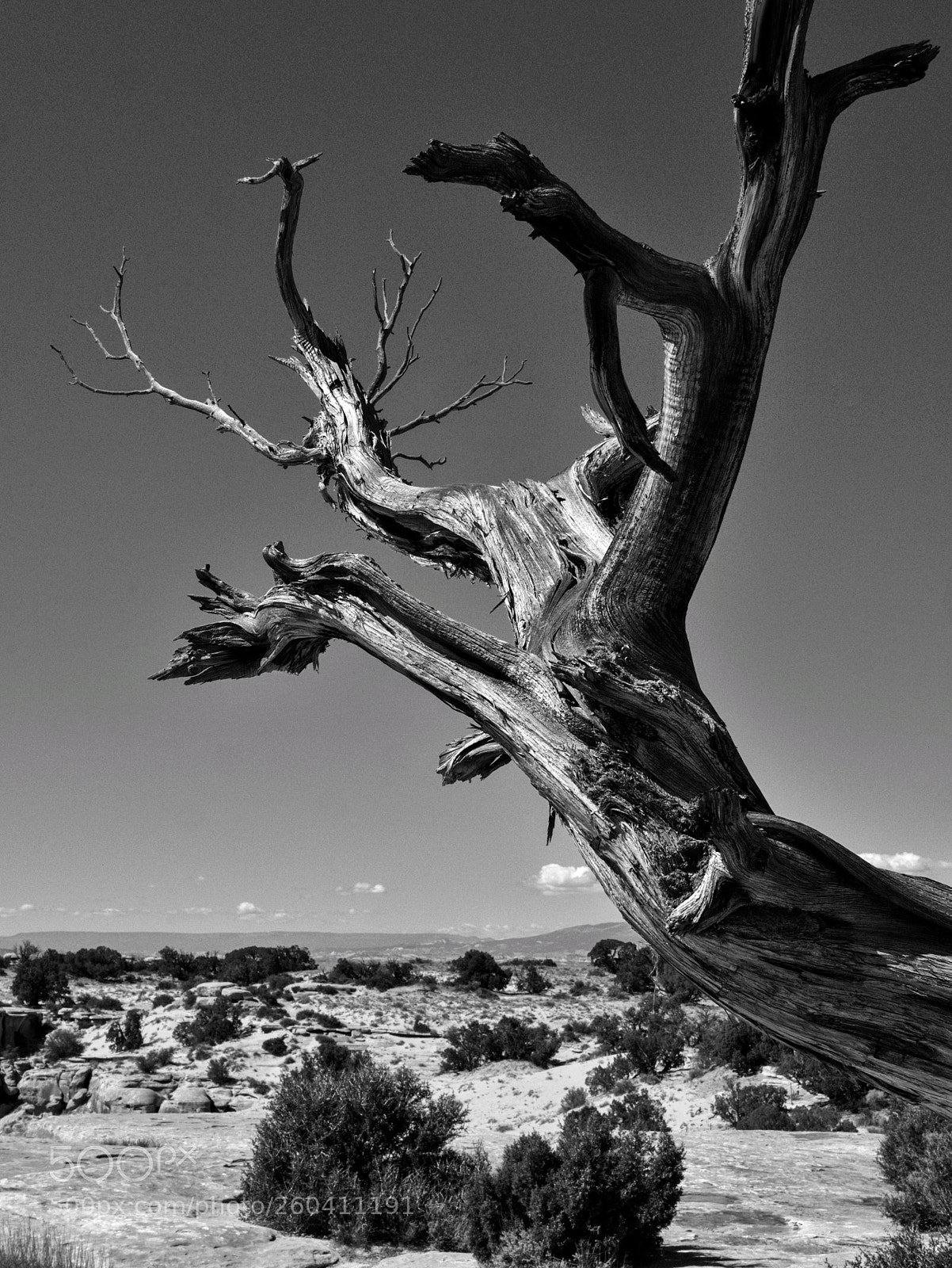 Panasonic Lumix DMC-GX7 sample photo. Always out of reach photography
