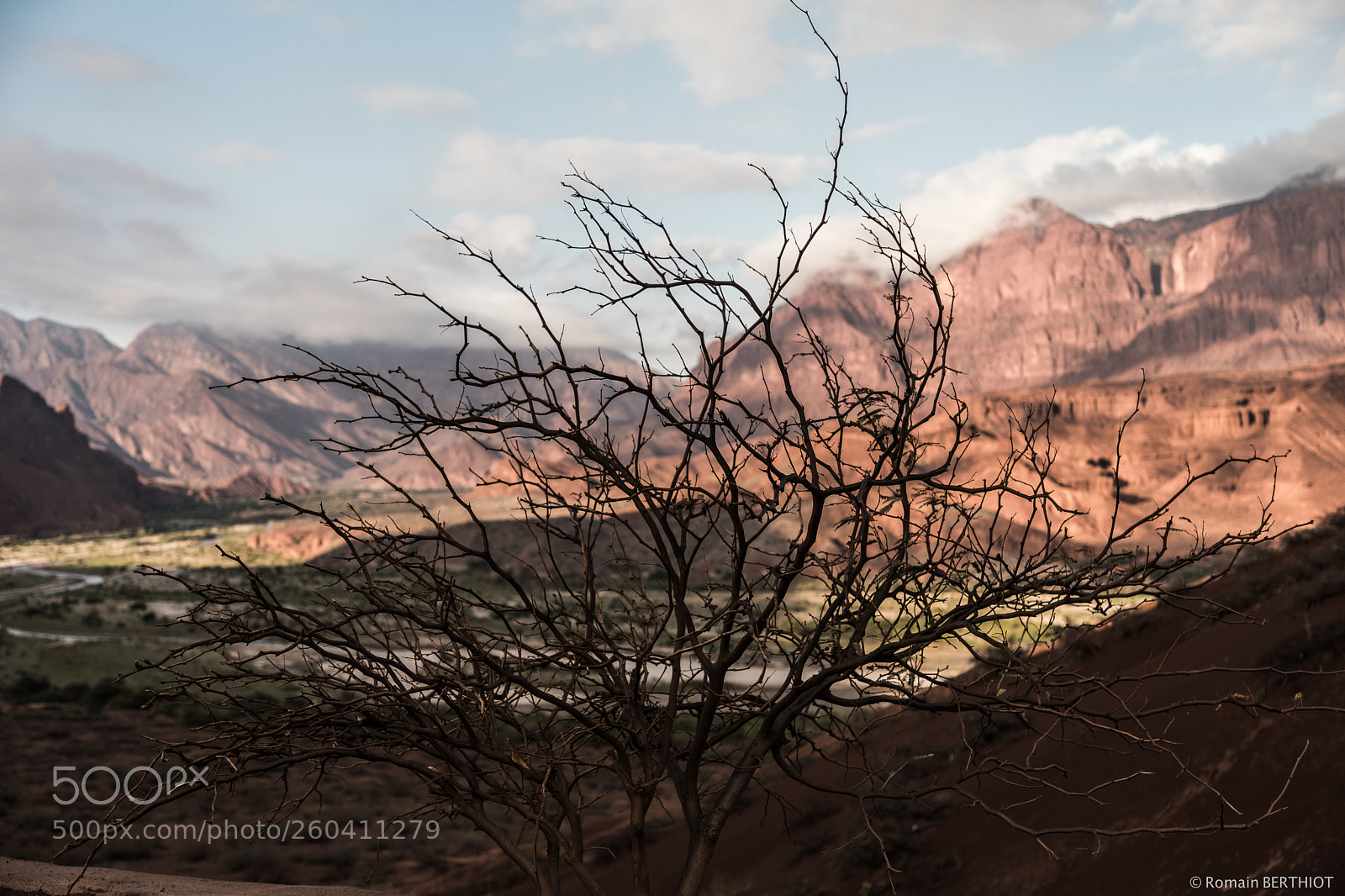 Canon EOS 5D Mark IV sample photo. Argentine photography