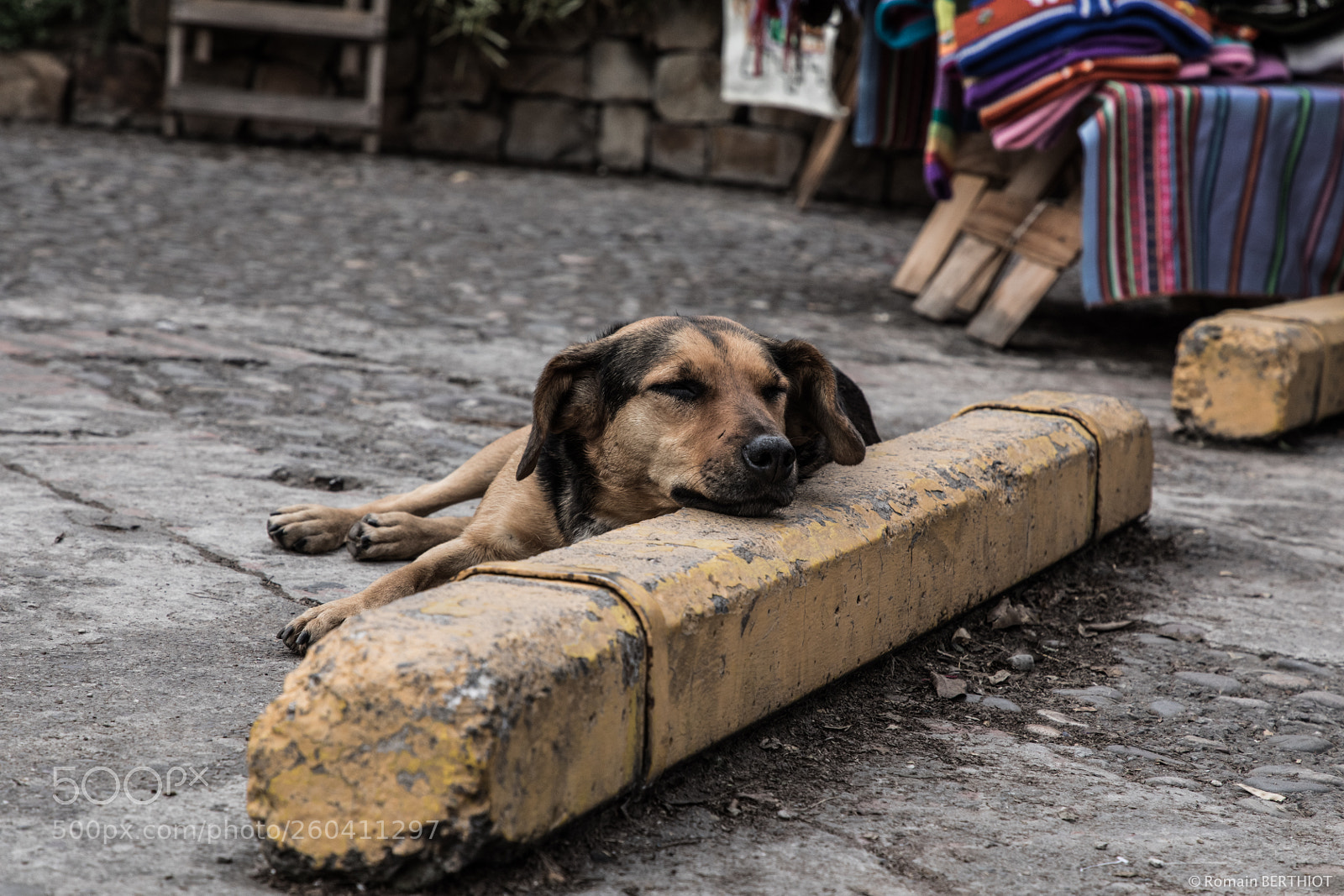 Canon EOS 5D Mark IV sample photo. Argentine photography