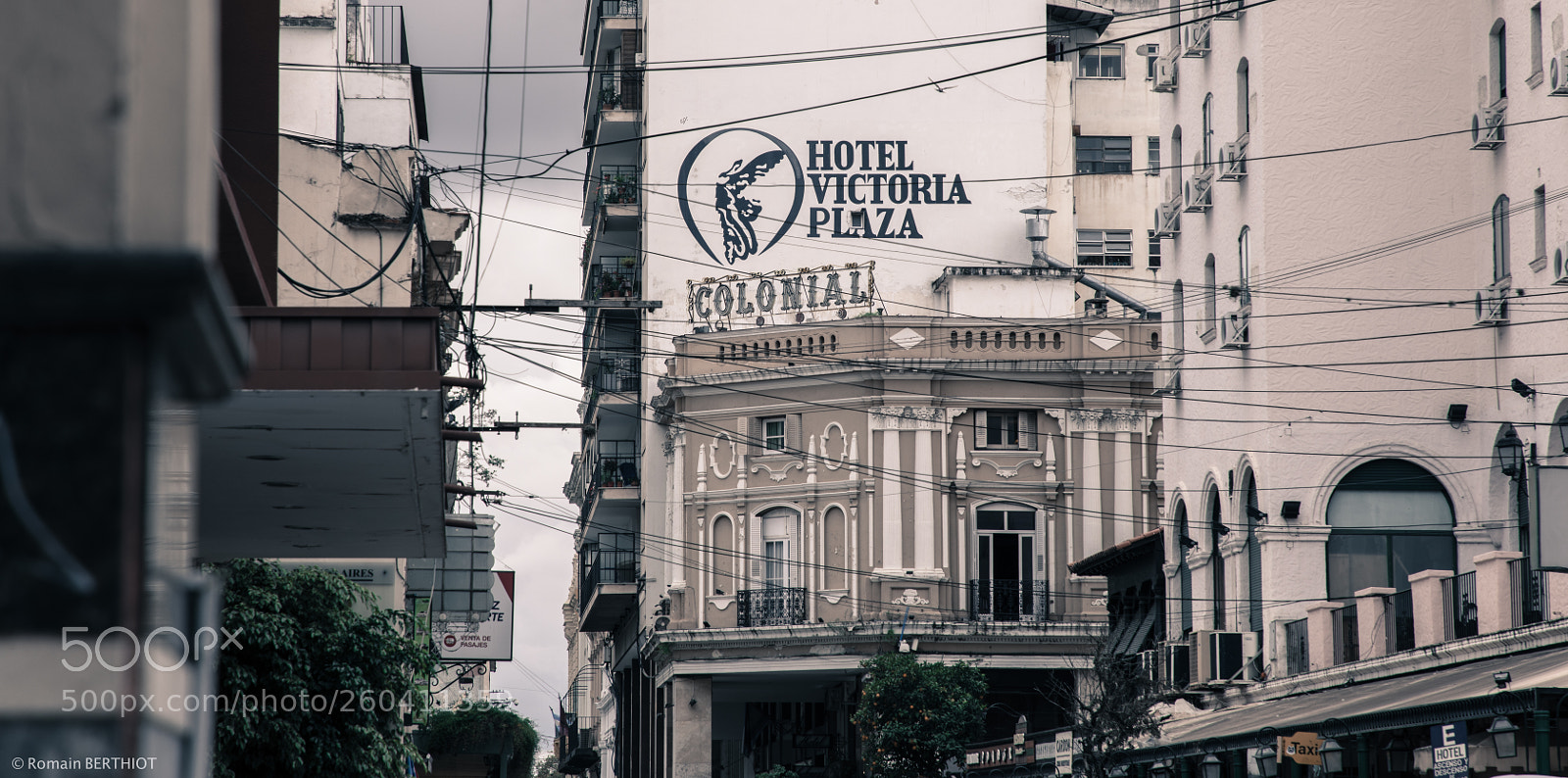 Canon EOS 5D Mark IV sample photo. Argentine photography