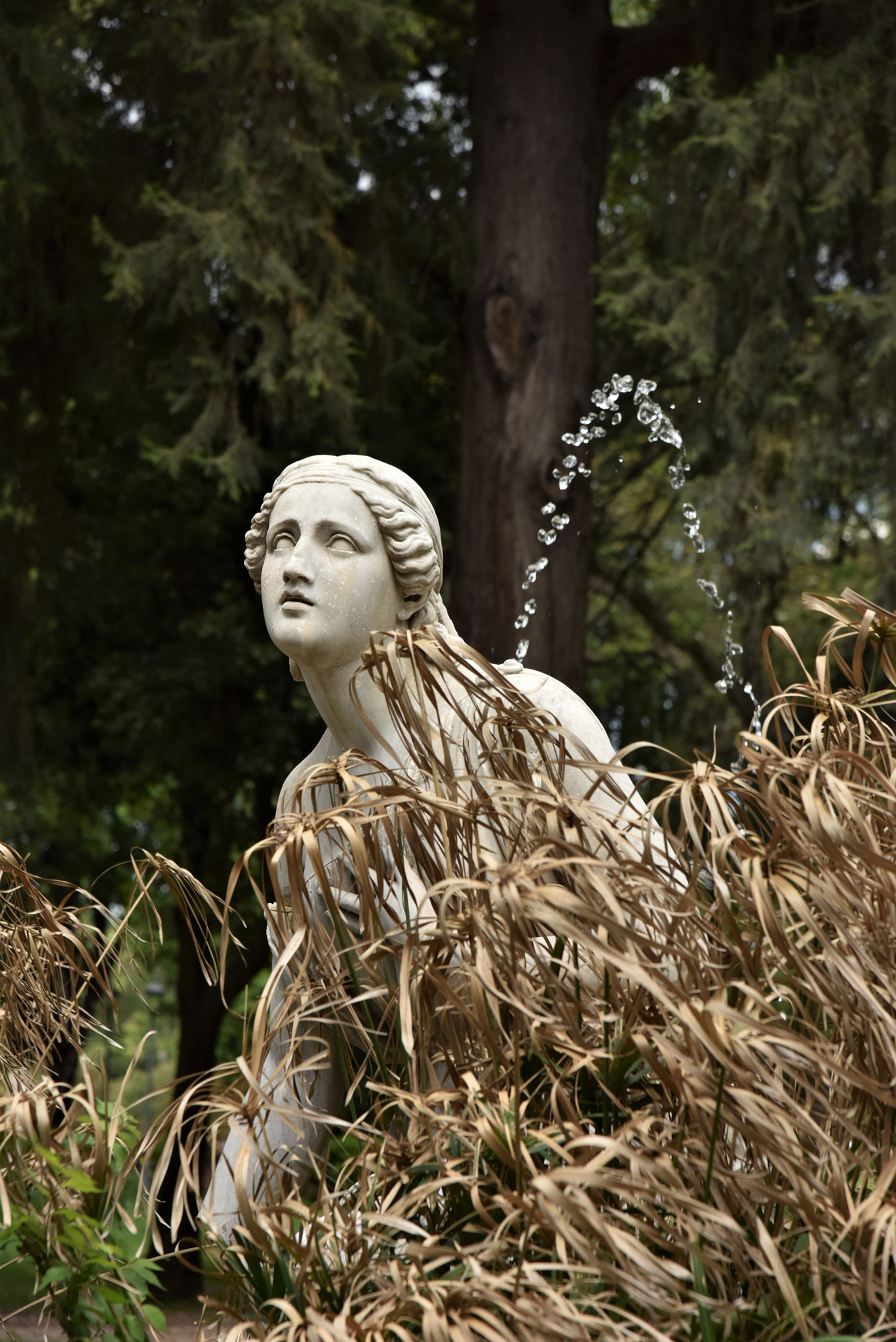 Nikon D810 + Nikon AF-S Nikkor 24-120mm F4G ED VR sample photo. Random bust at terrazza del pincio, rome photography