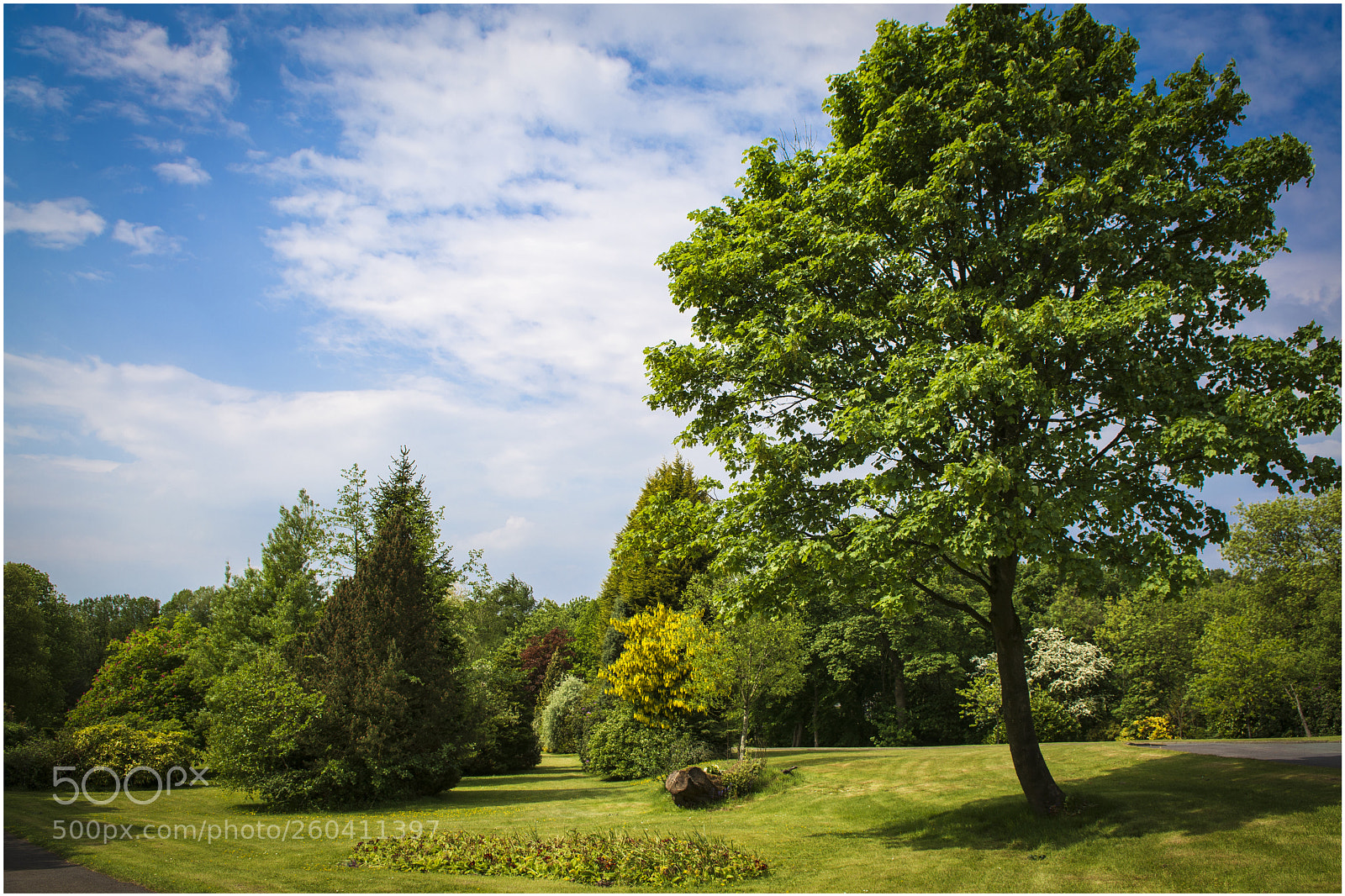 Nikon D7100 sample photo. Burnley crem photography