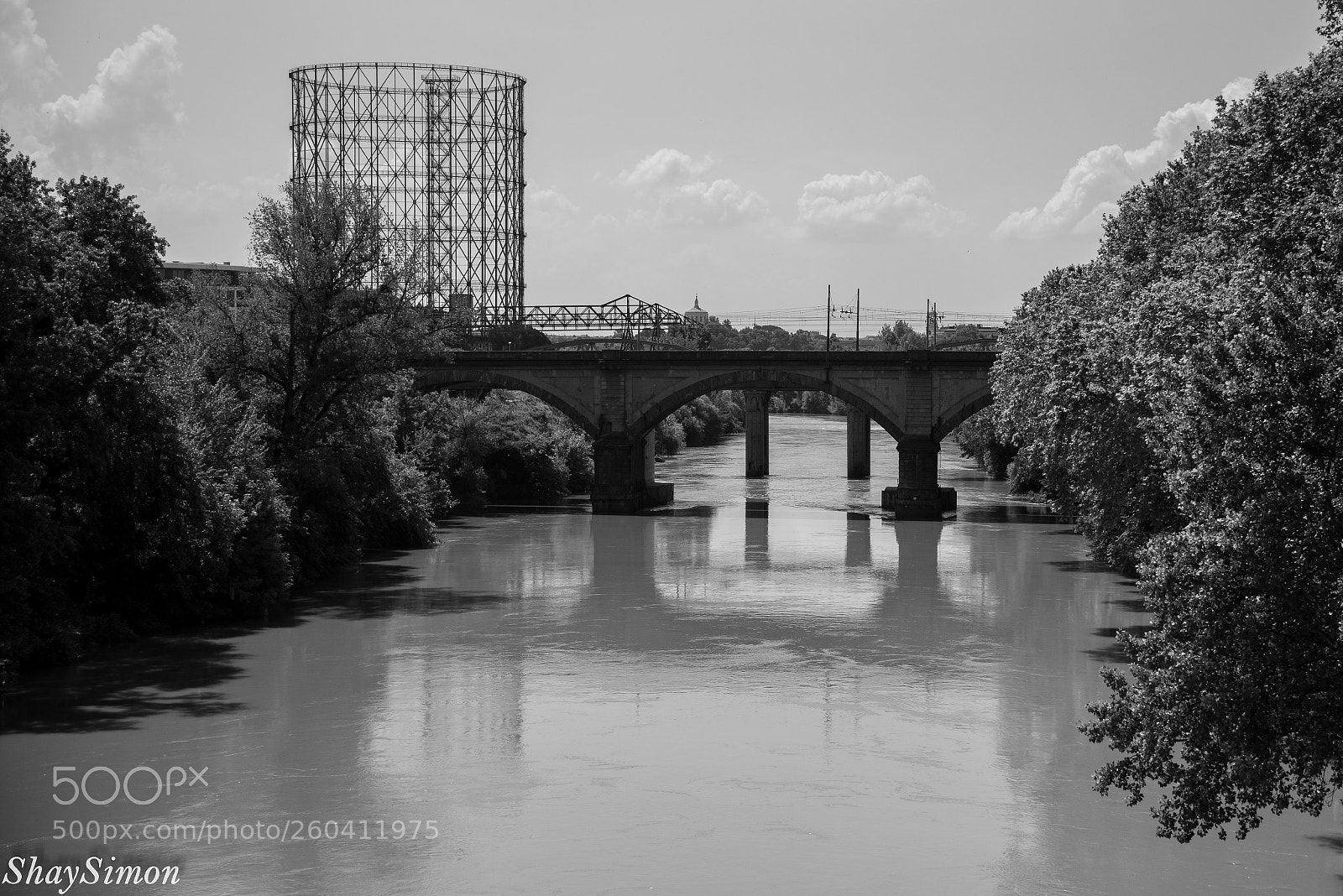 Nikon D750 sample photo. Untitled photography