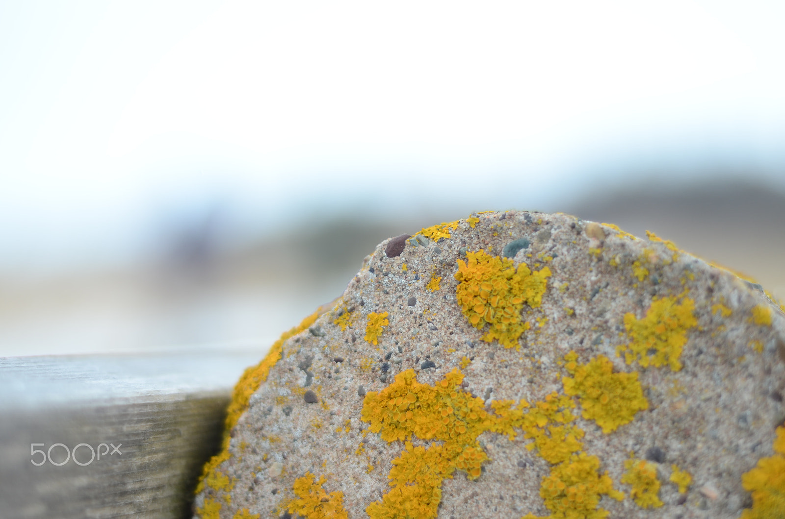 Nikon AF Nikkor 50mm F1.8D sample photo. This rocks photography