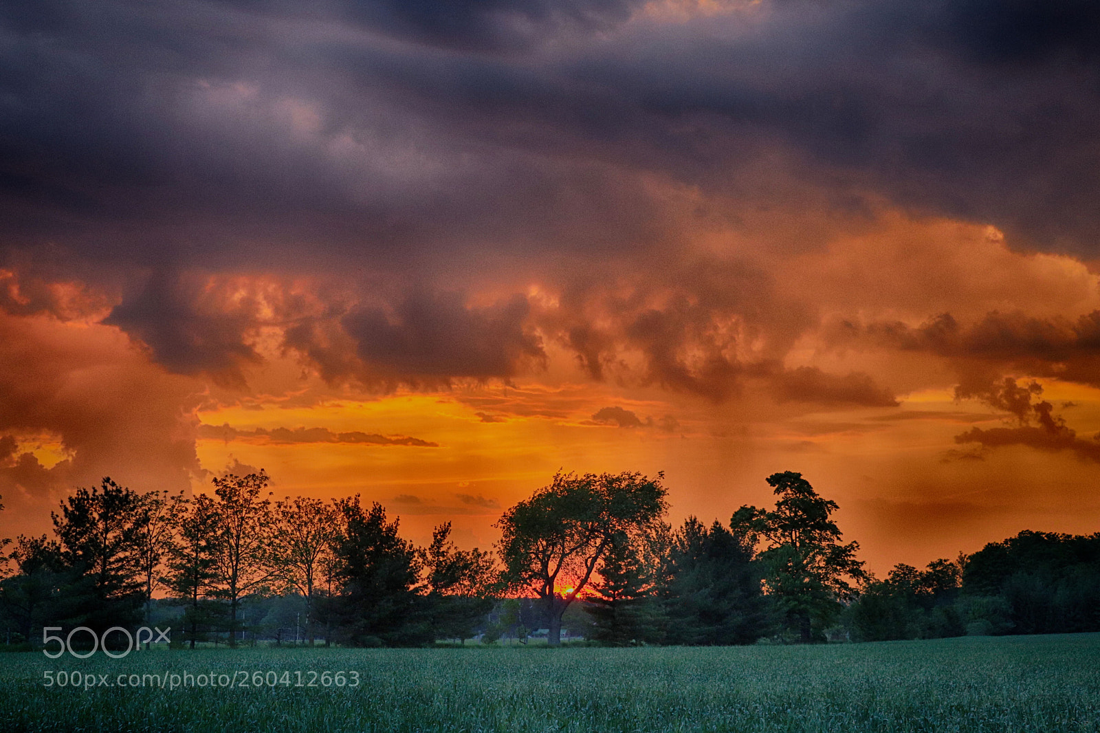 Canon EOS 77D (EOS 9000D / EOS 770D) sample photo. Storm at sunset photography