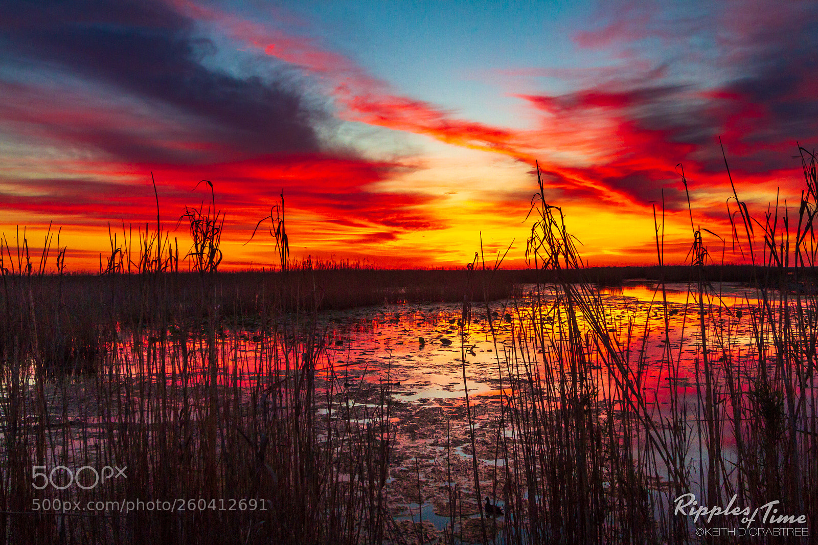 Canon EOS 7D sample photo. Blazing sunrise photography