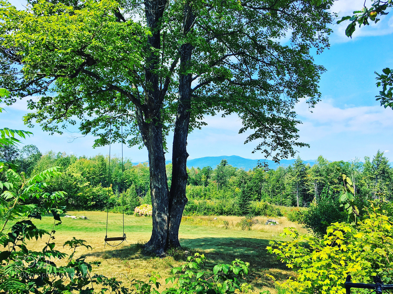 Apple iPhone 6s sample photo. Discoveries caitlin crowe portland photography