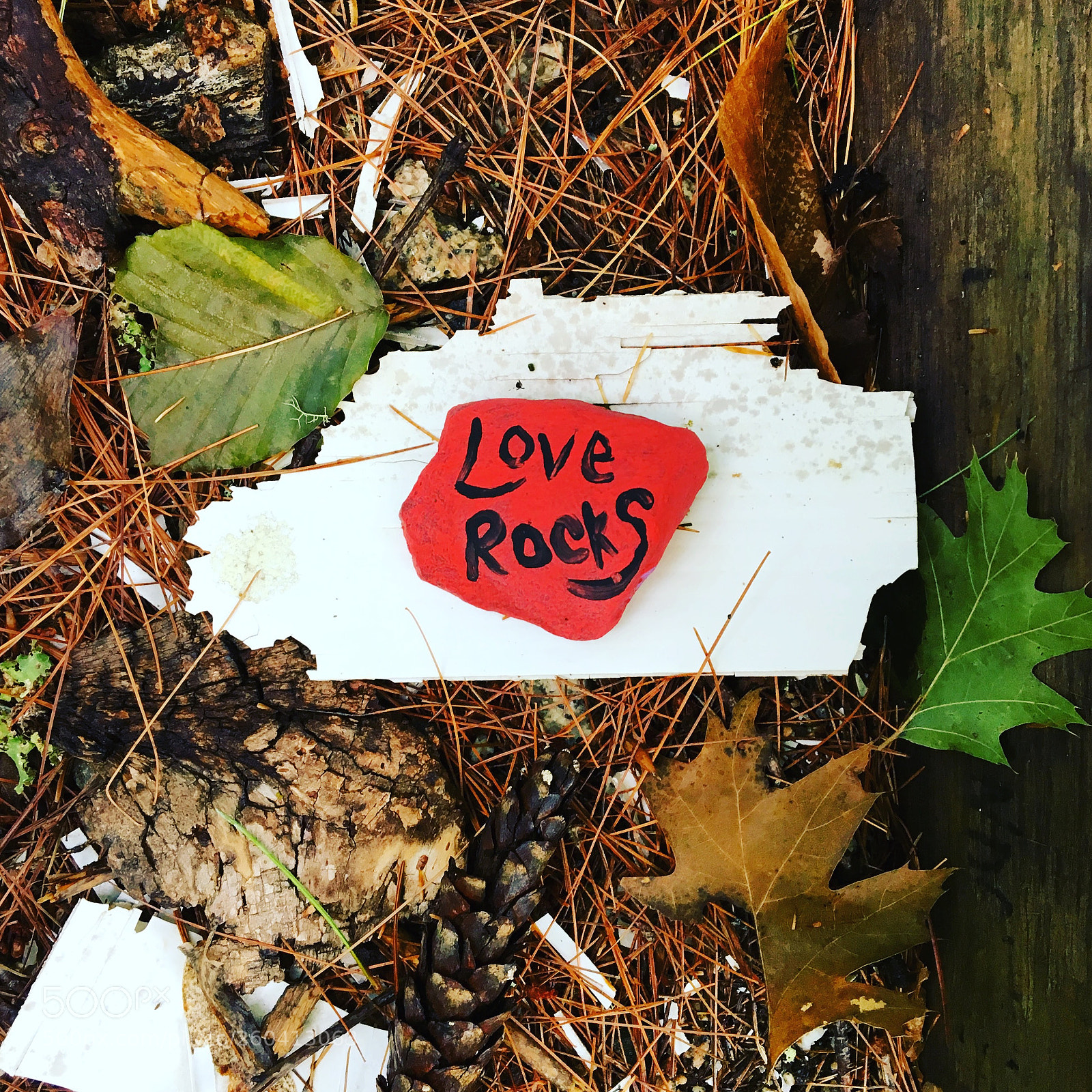 Apple iPhone 6s sample photo. Discoveries caitlin crowe portland photography