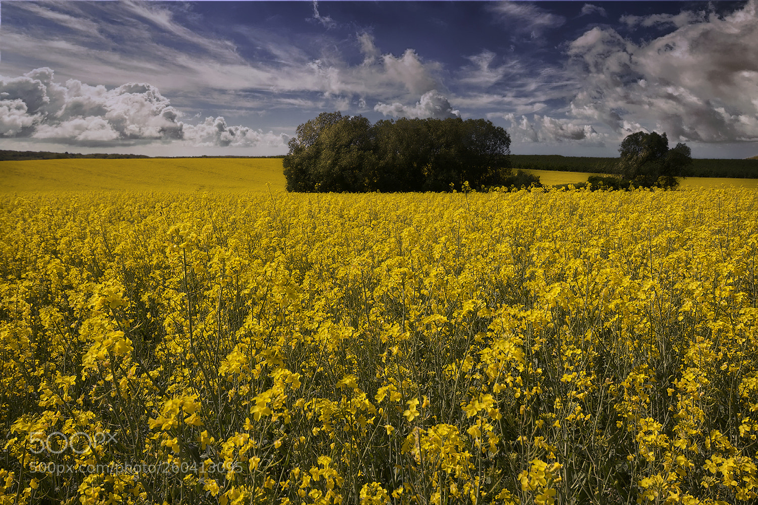 Canon EOS 40D sample photo. Neverending story photography