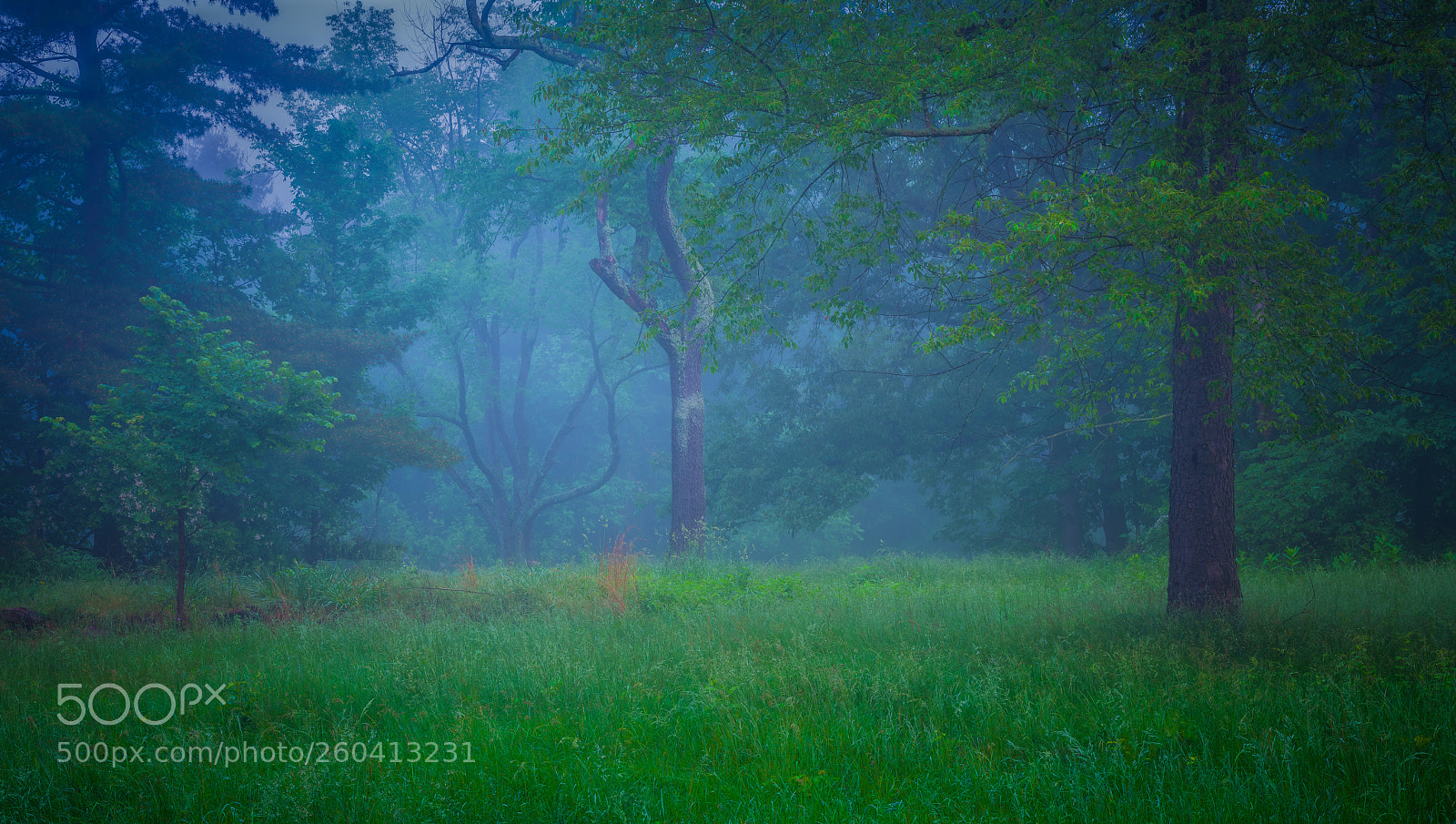 Fujifilm GFX 50S sample photo. Battlefield morning in june photography
