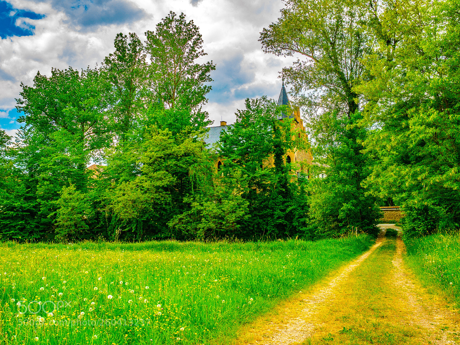Panasonic Lumix DMC-GX85 (Lumix DMC-GX80 / Lumix DMC-GX7 Mark II) sample photo. Spindlhof photography