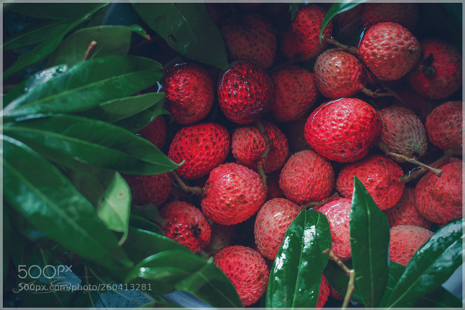Nikon D3300 sample photo. Fruits photography