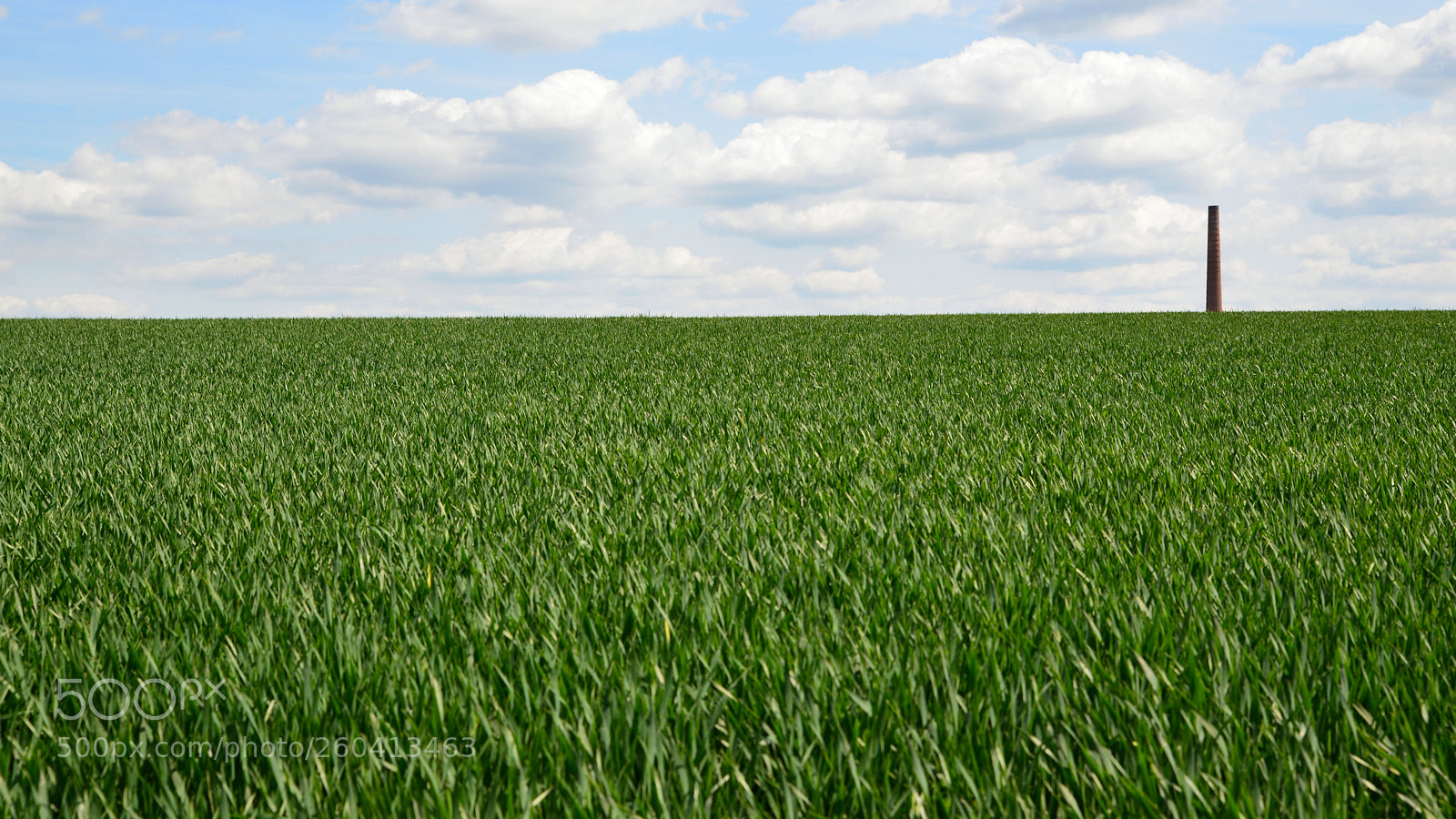 Nikon D610 sample photo. Chimney in the field photography