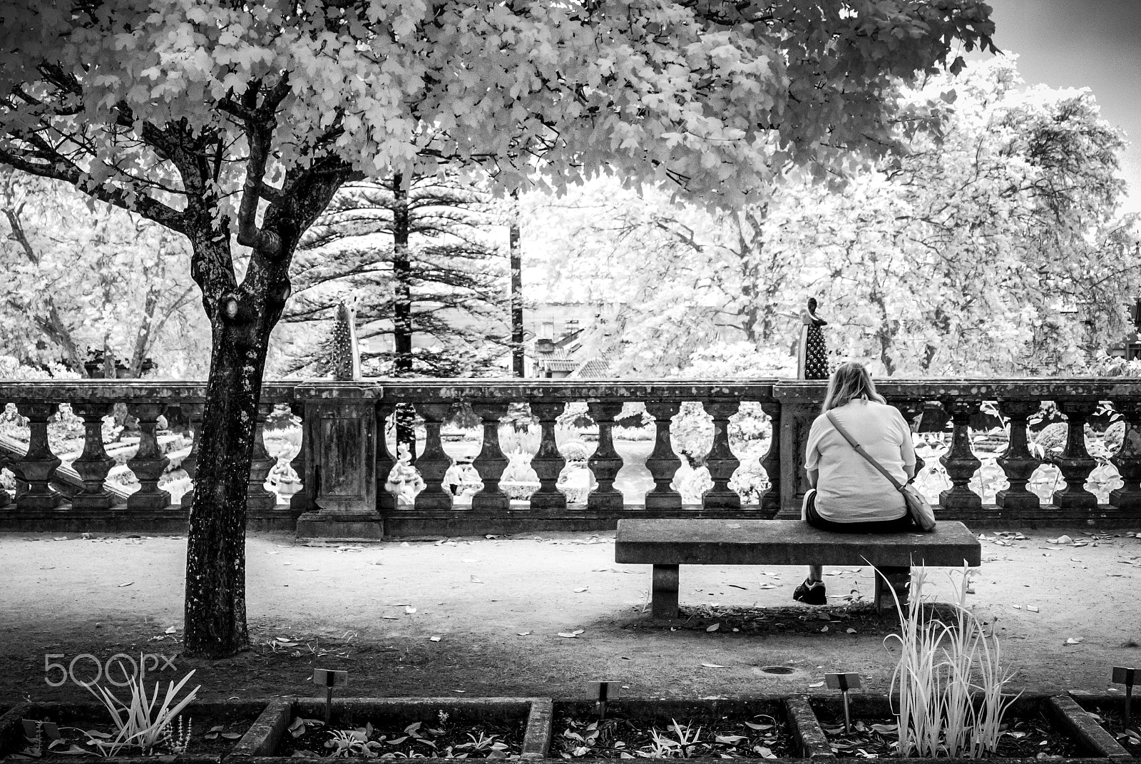 Nikon 1 J1 sample photo. Waiting for nothing... photography