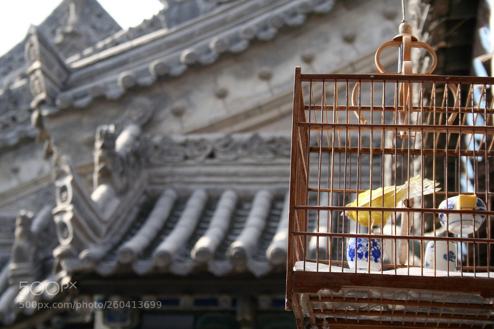Canon EOS 350D (EOS Digital Rebel XT / EOS Kiss Digital N) sample photo. Caged beauty photography