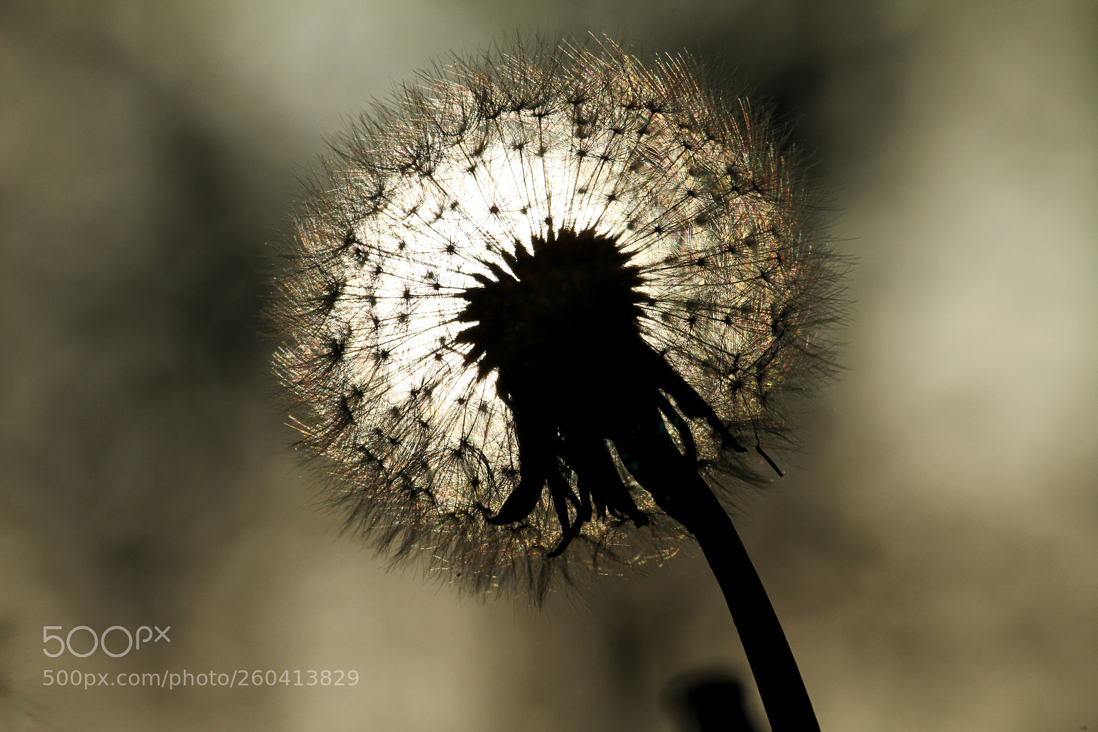Canon EOS 7D sample photo. Img photography