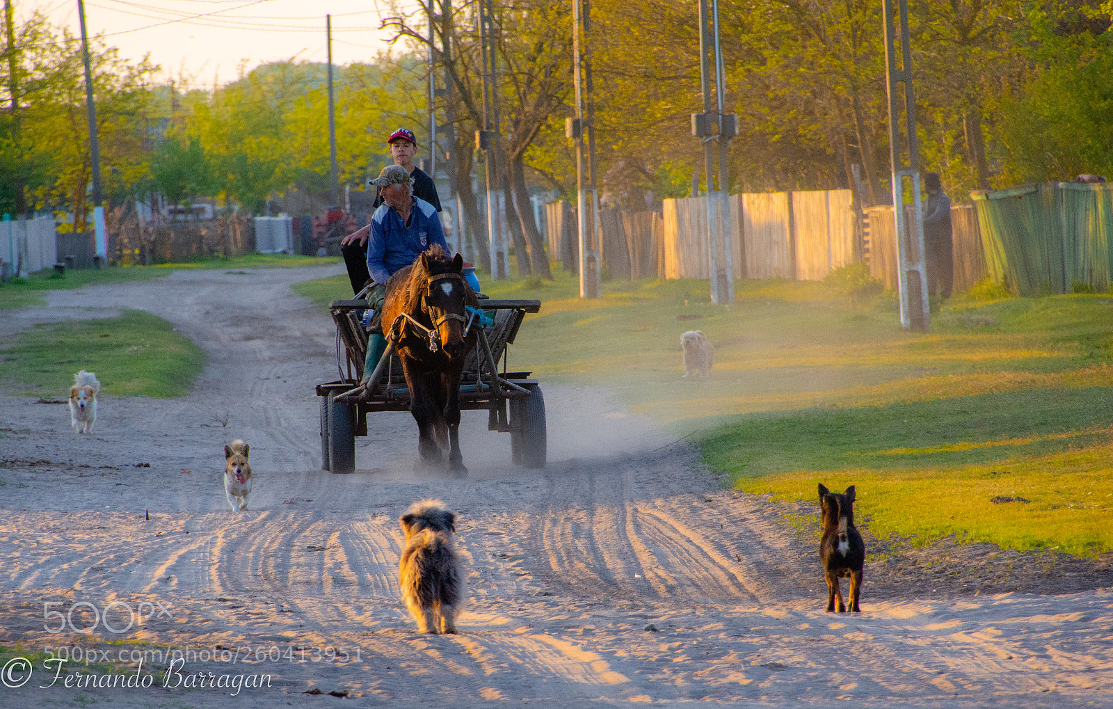 Nikon D7100 sample photo. Campesinos rumanos (de ) photography