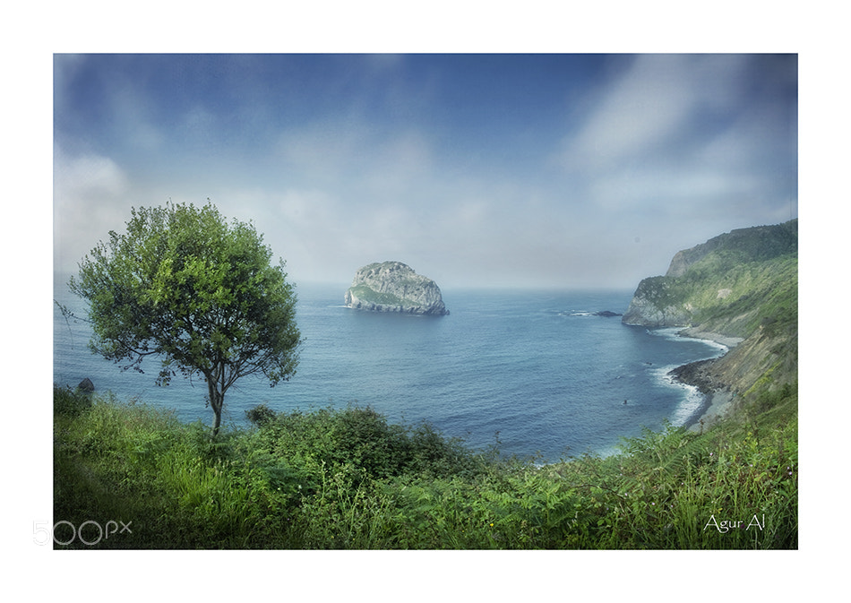 Nikon D80 sample photo. Camino de san juan photography