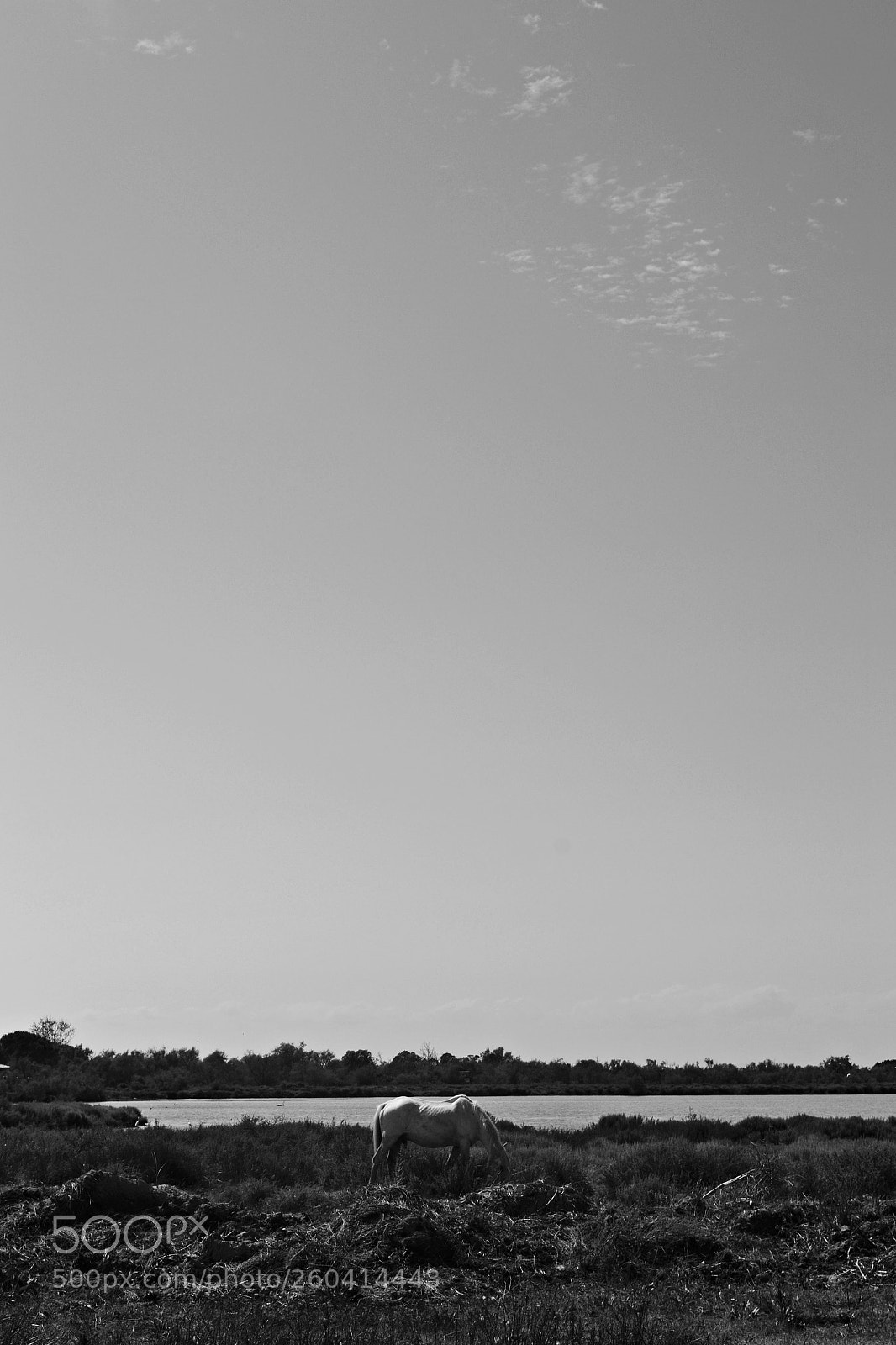 Nikon D3100 sample photo. Timegrazer photography