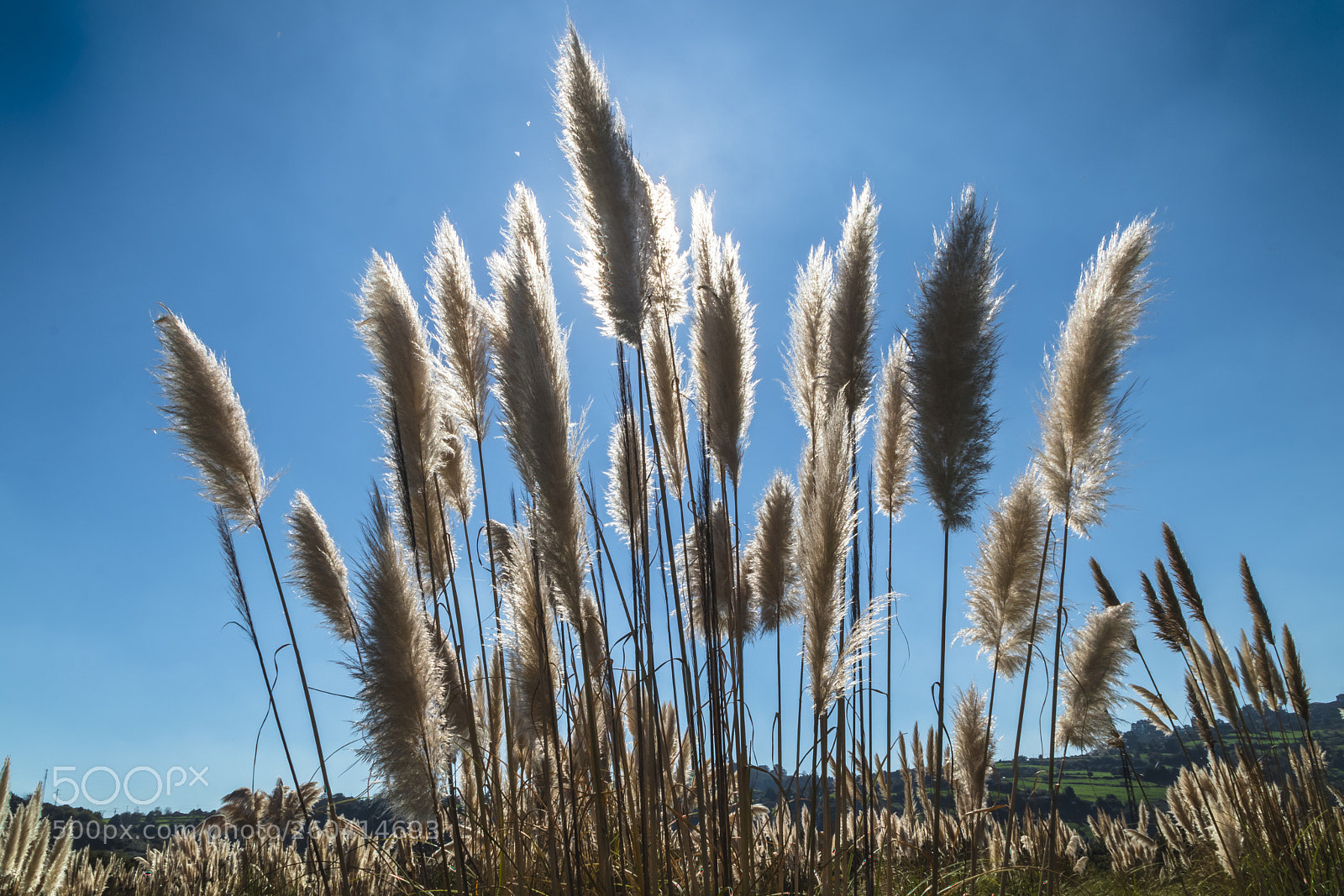 Canon EOS 80D sample photo. Nature photography