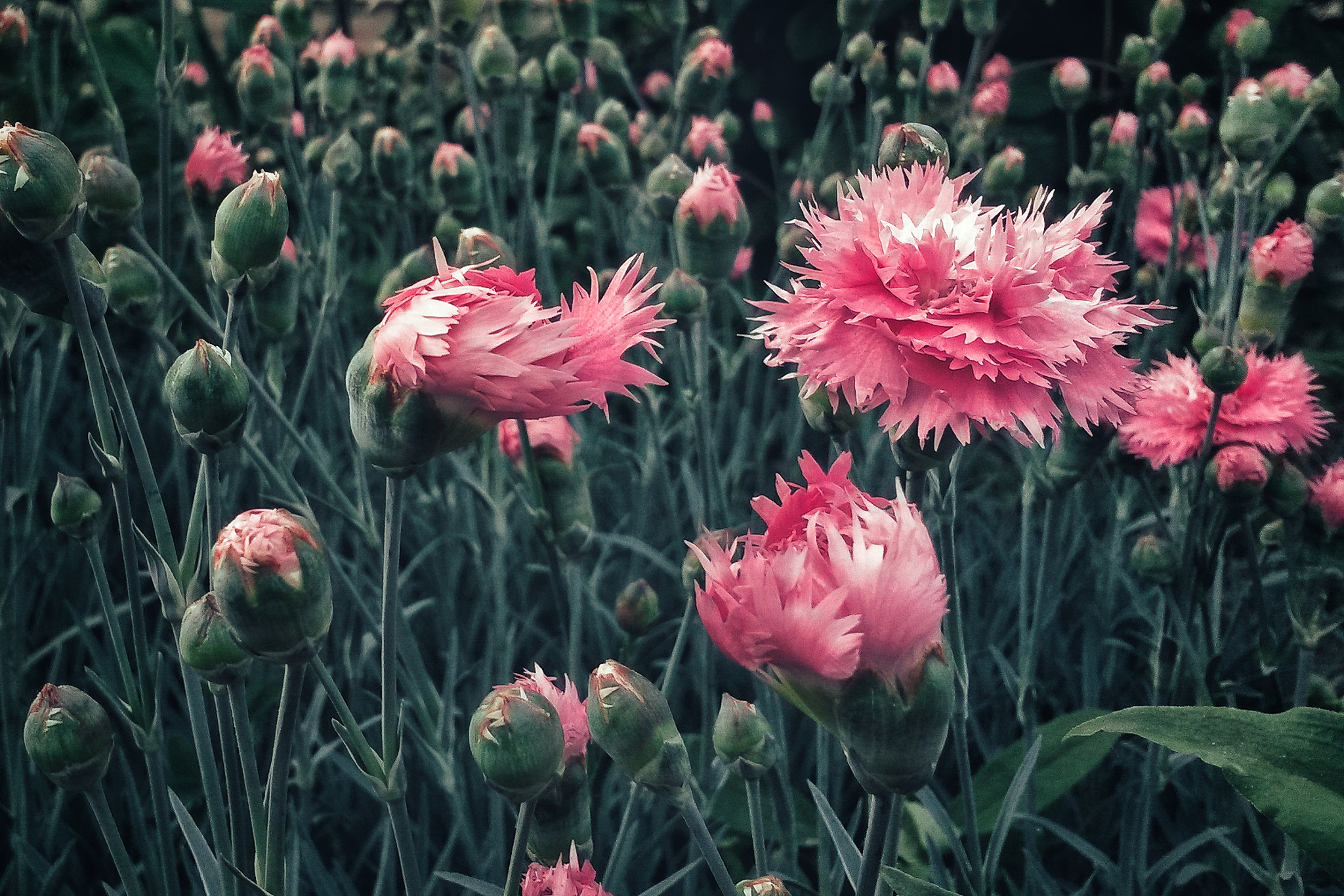 Samsung Galaxy S4 Active sample photo