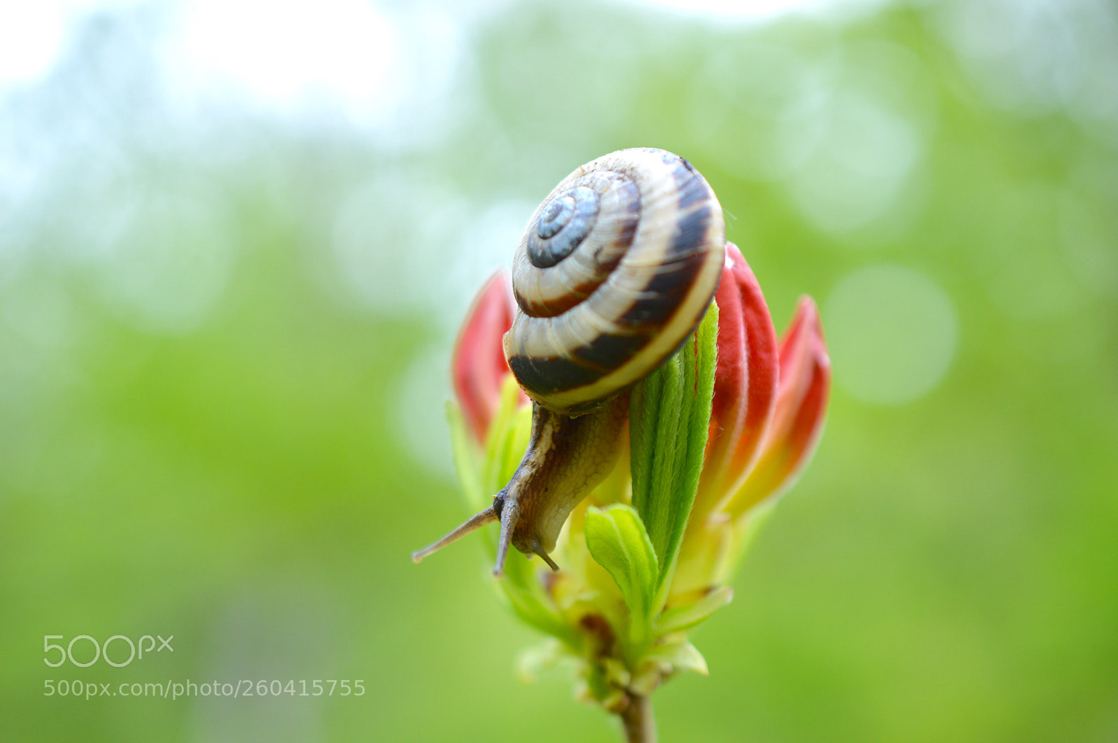Nikon D3200 sample photo. I m addicted to photography