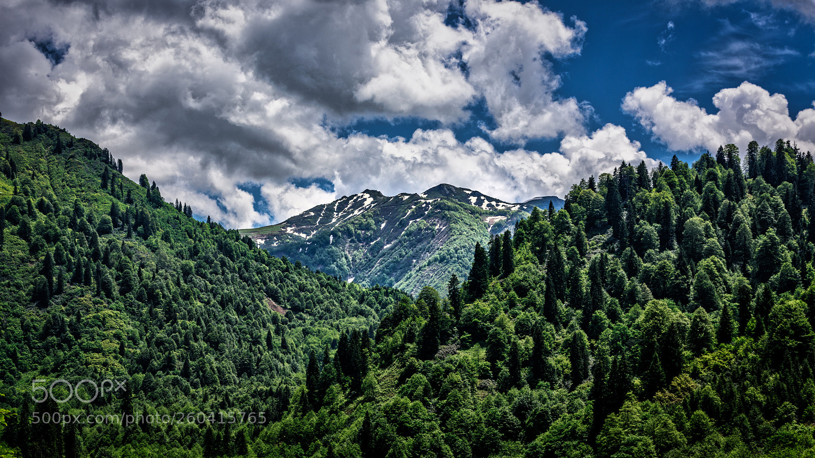 Nikon D810 sample photo. Macahel photography