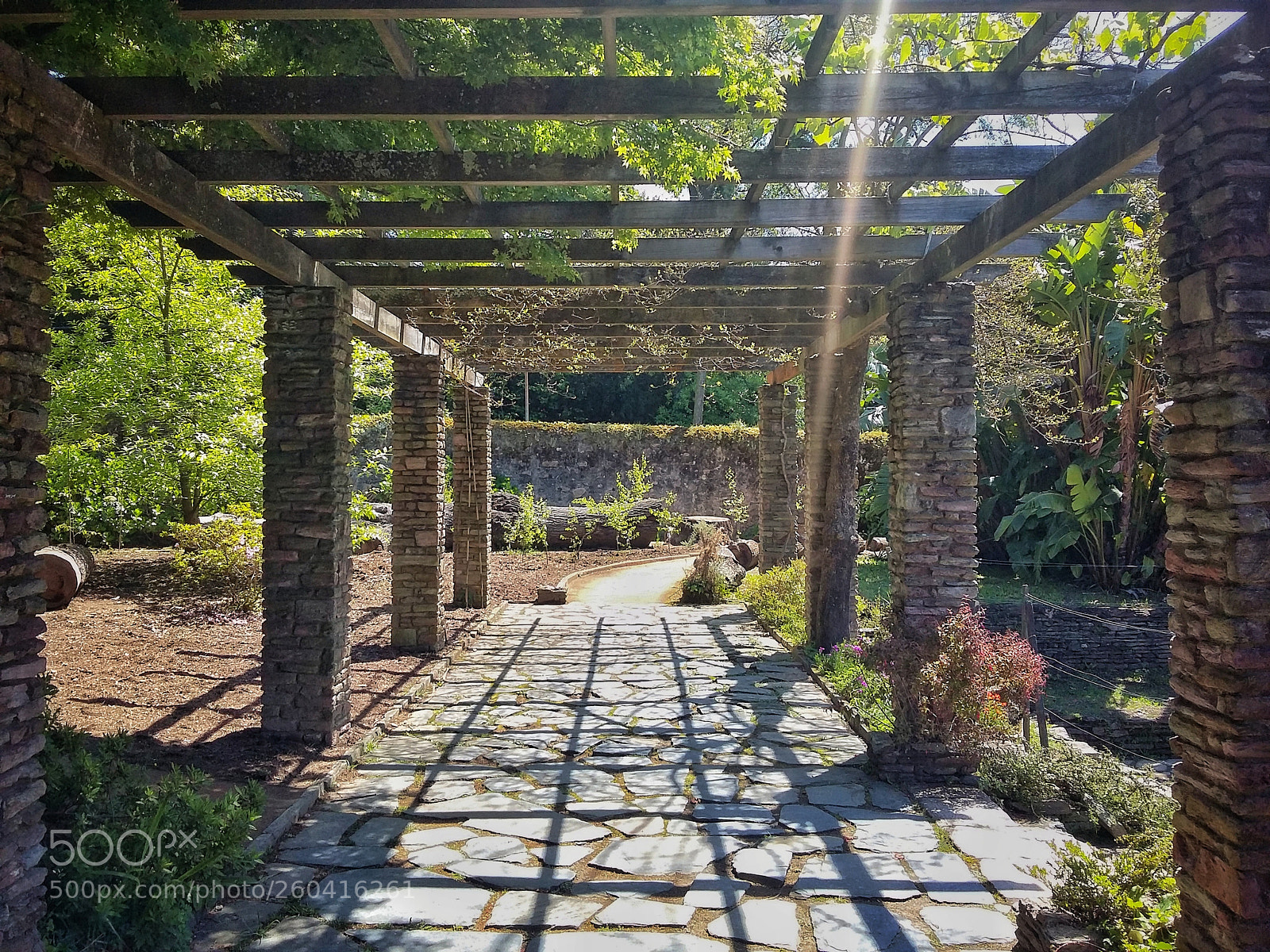 Samsung Galaxy Grand Prime sample photo. Porto's botanical garden photography