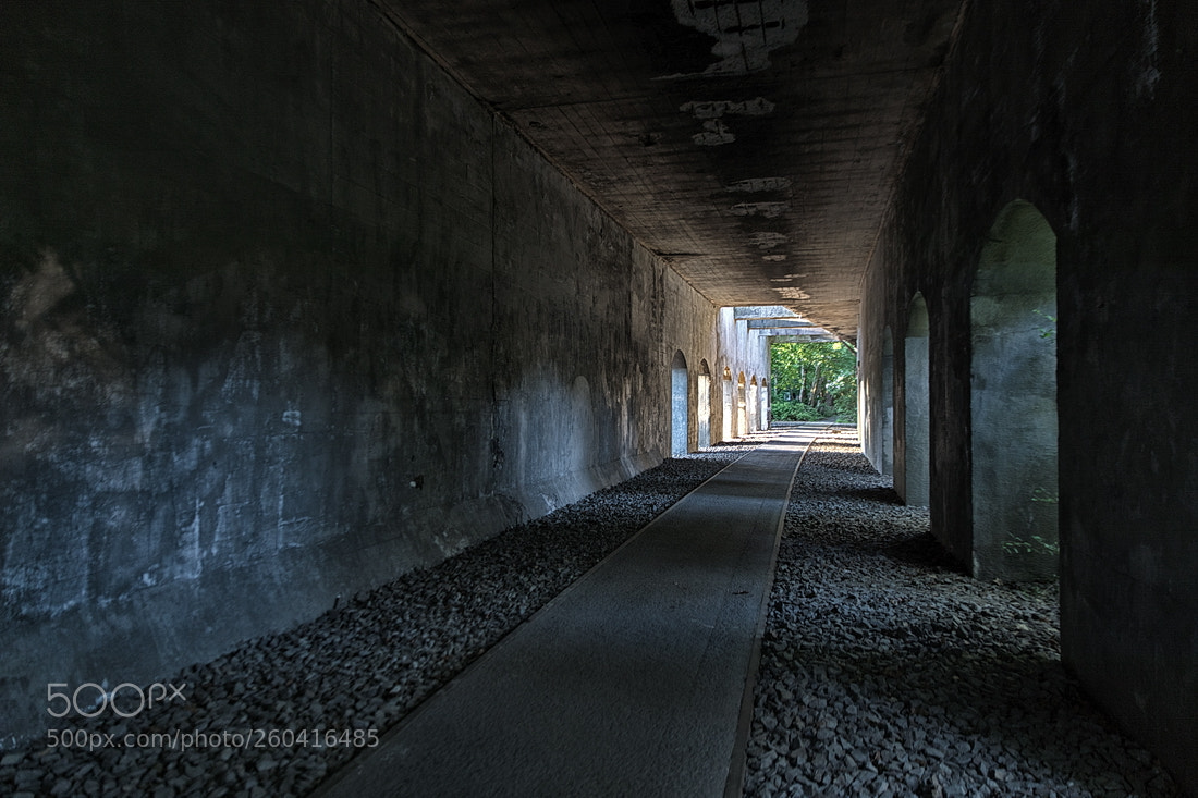 Canon EOS 5D Mark IV sample photo. Tunnel photography