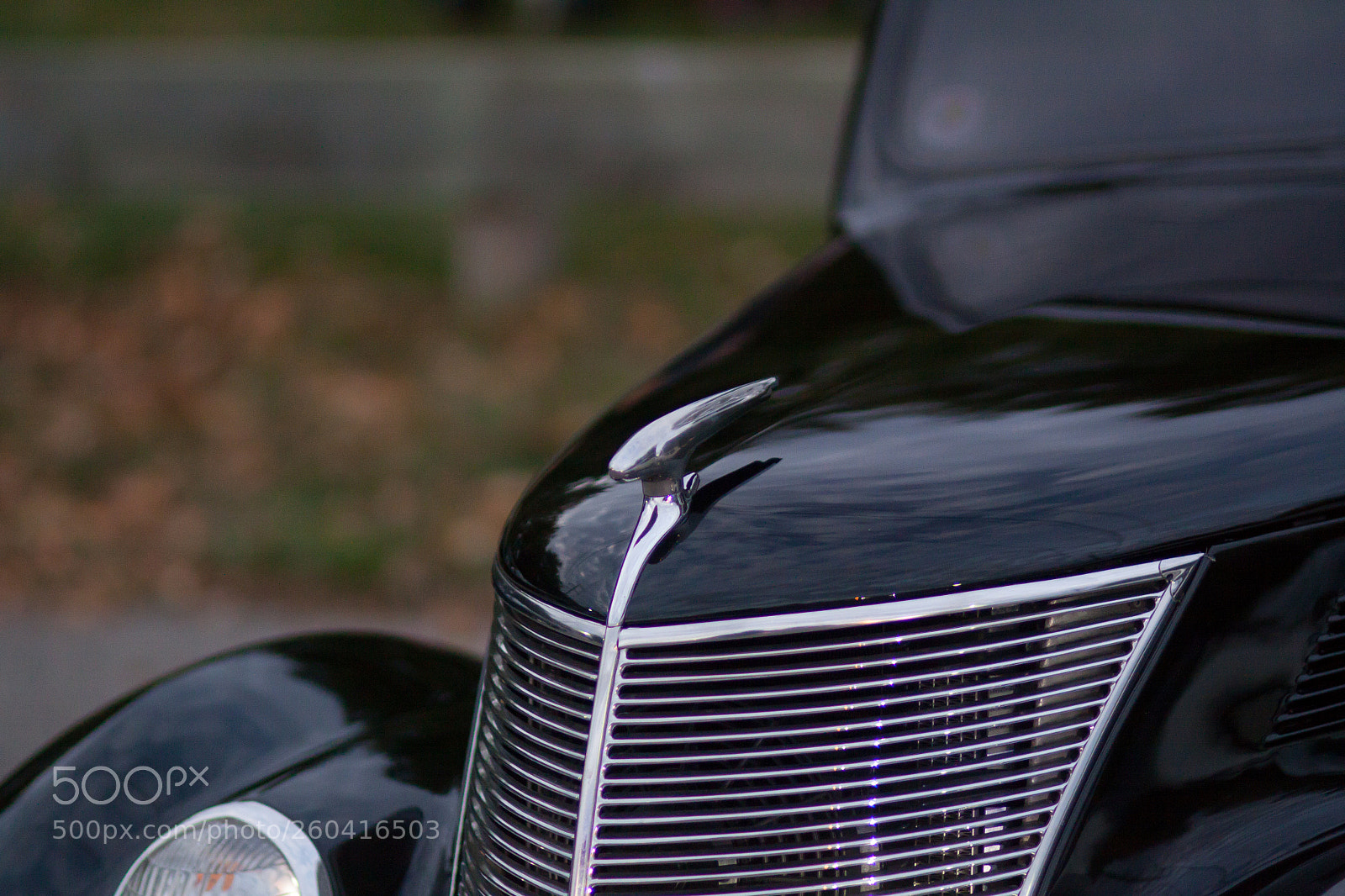 Canon EOS 50D sample photo. Mg photography