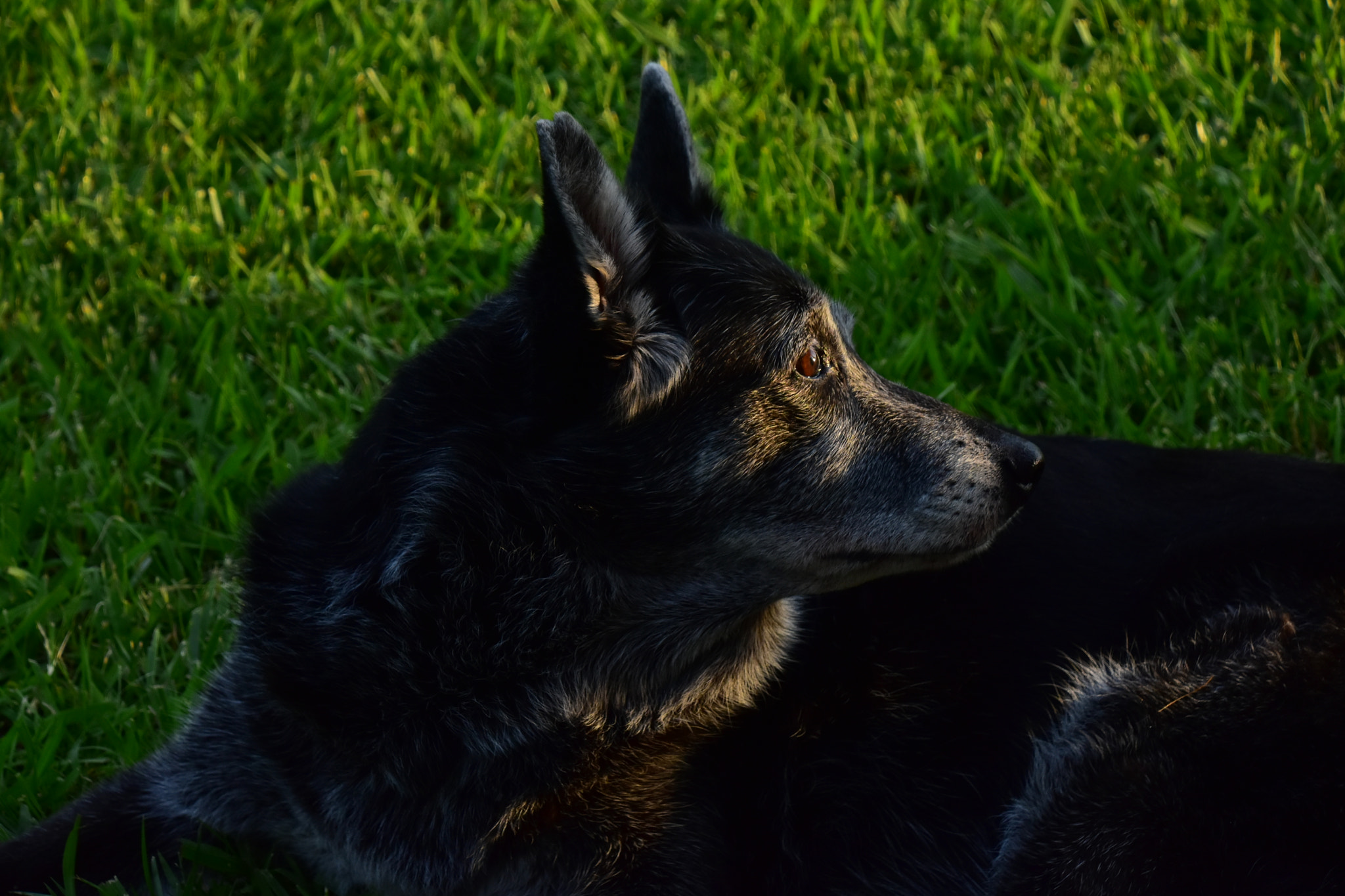 Nikon D7200 sample photo. Chi arriva? photography