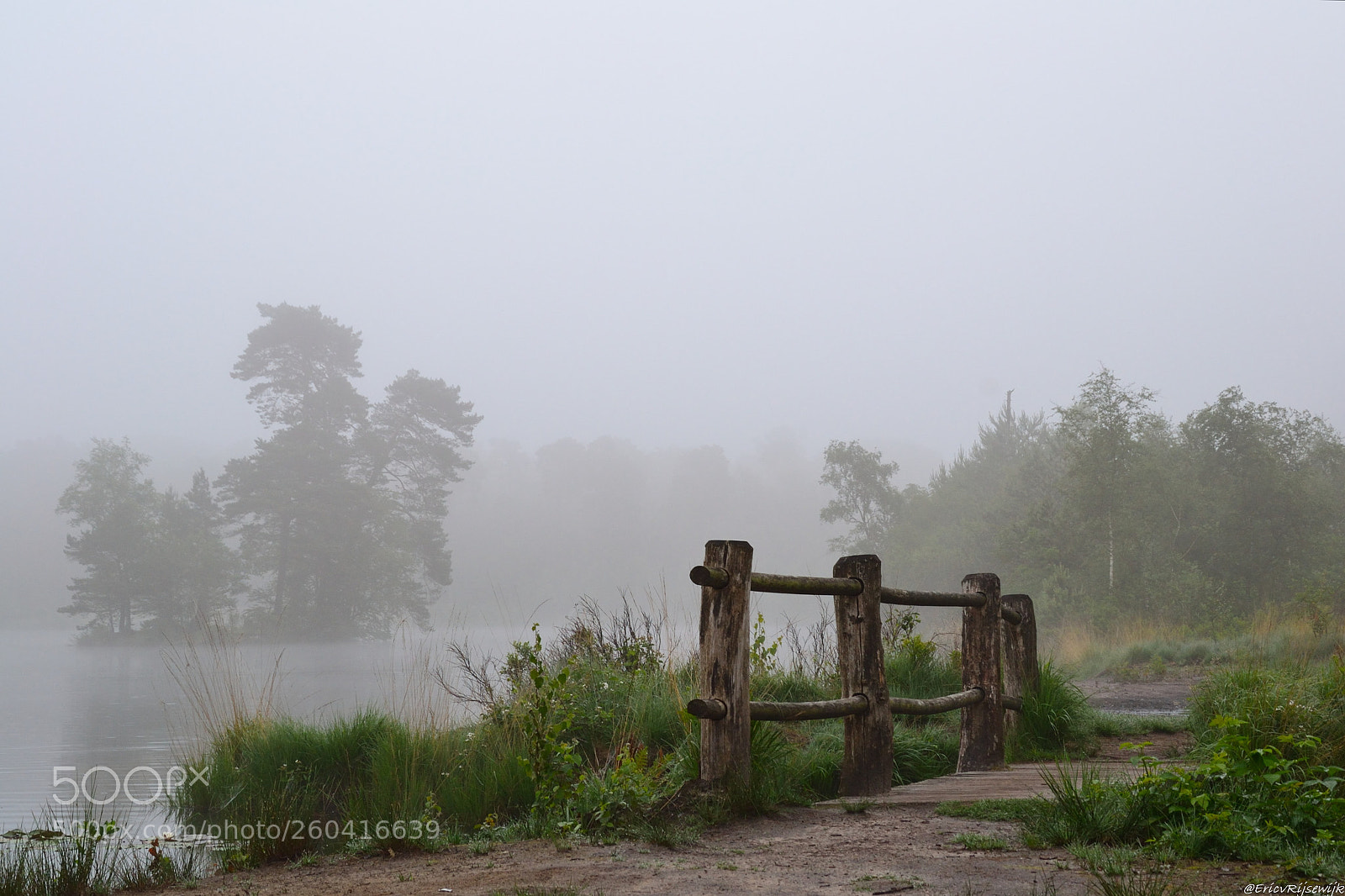 Nikon D3100 sample photo. Misty morning photography