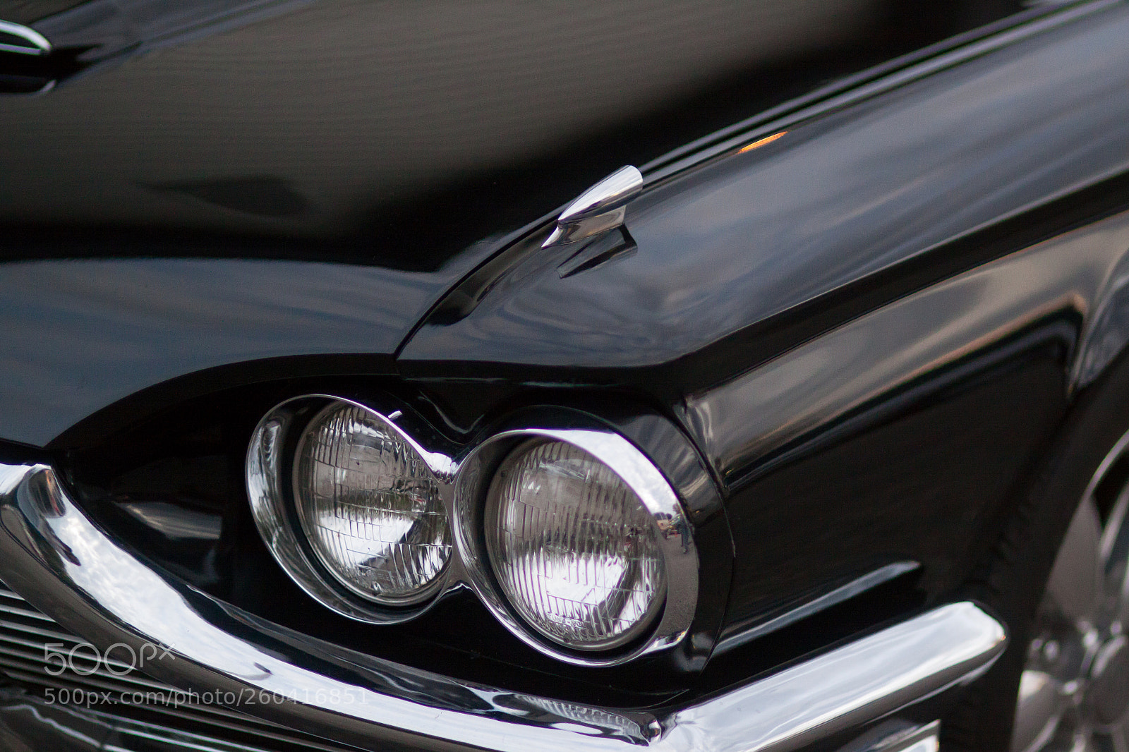 Canon EOS 50D sample photo. Mg photography