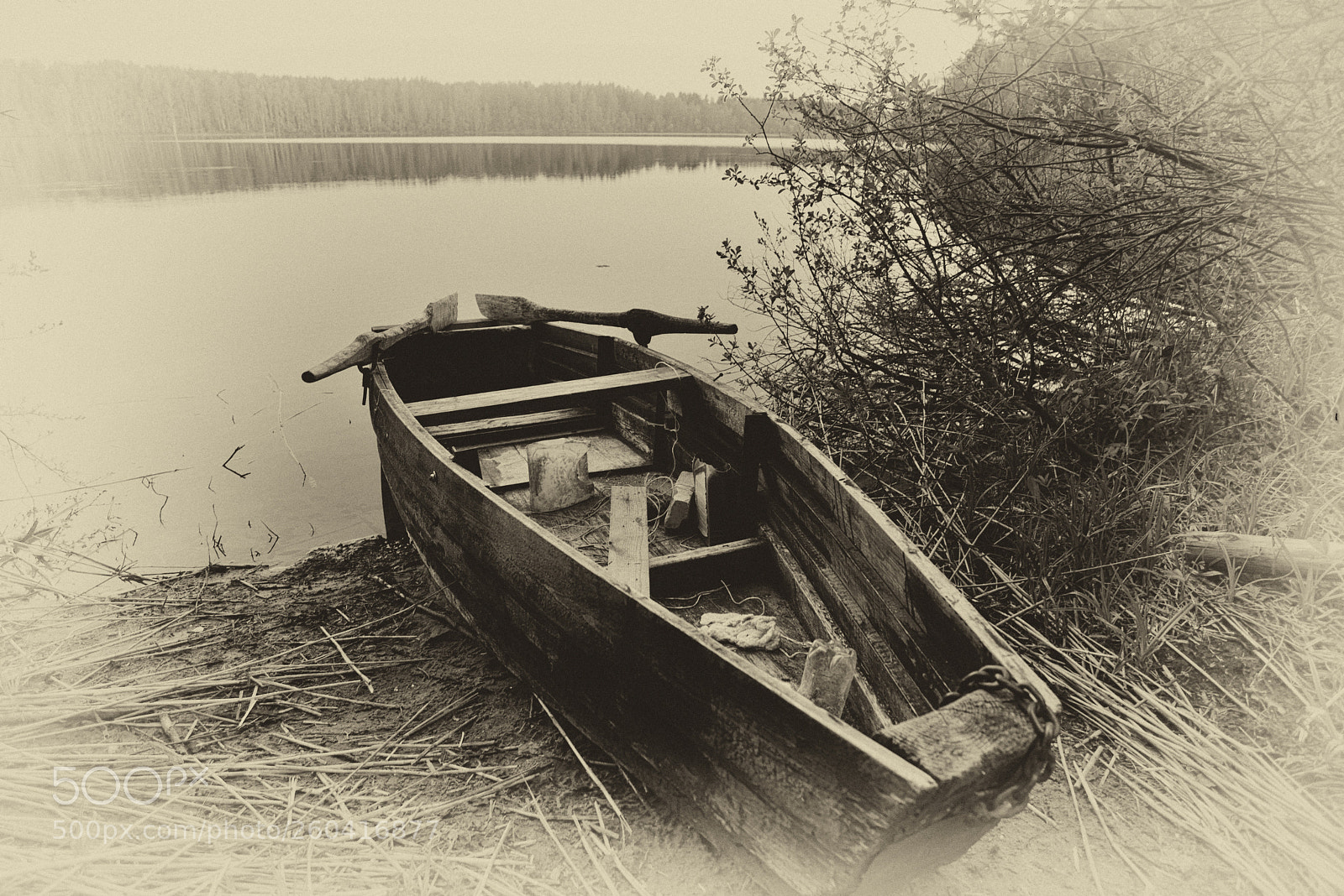 Nikon D600 sample photo. Dreams of an old photography