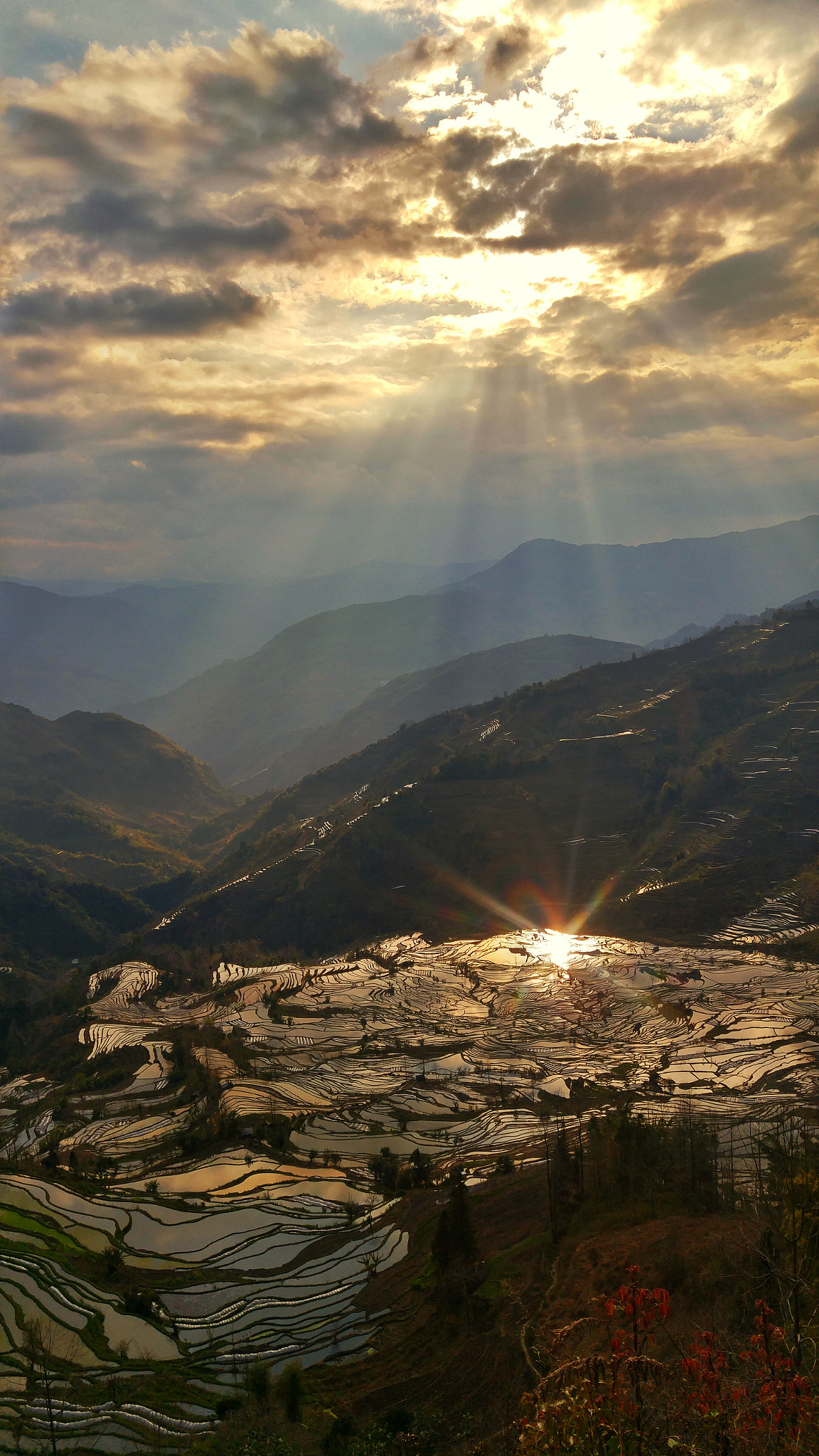 LG H818P sample photo. Yuanyang rice terraces photography